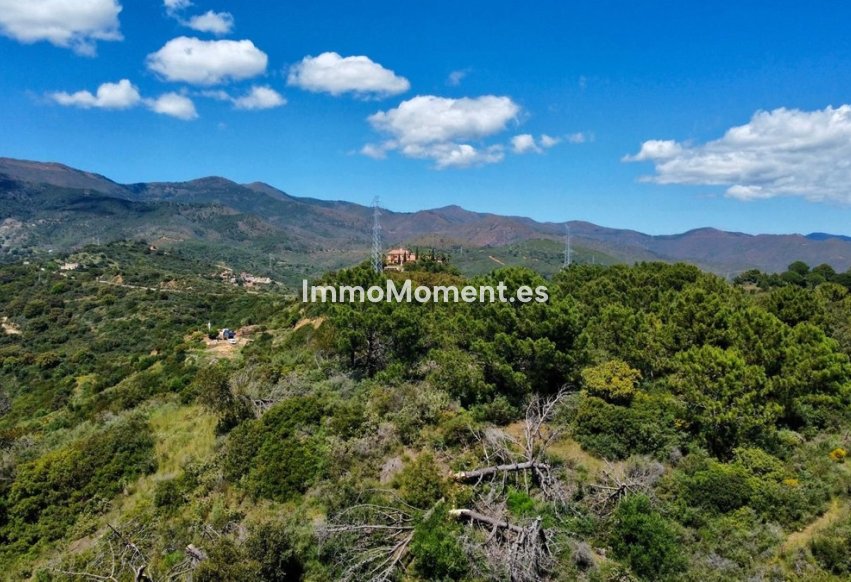 Reventa - Parcela - Estepona  - Estepona Centro