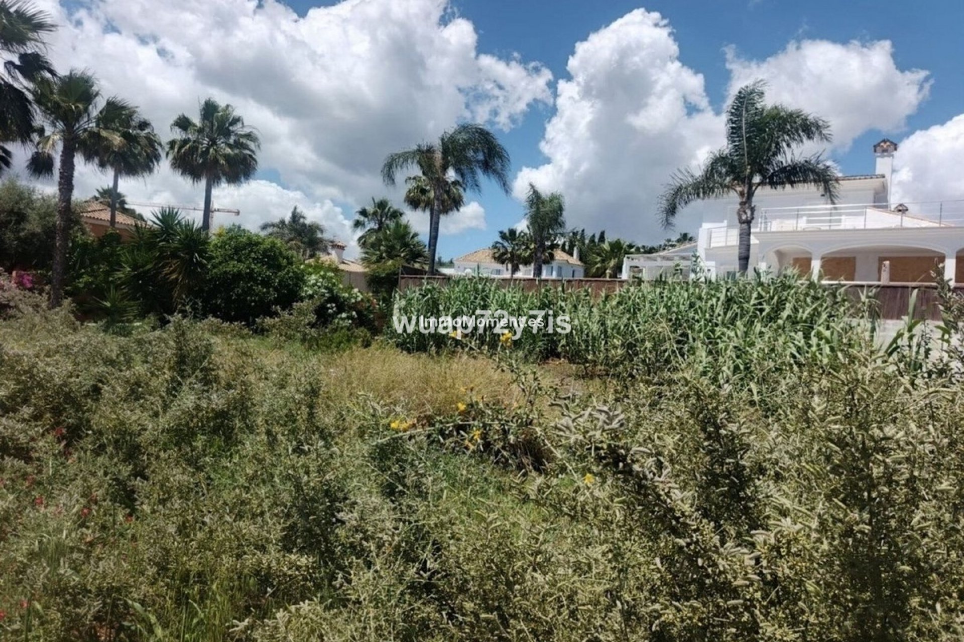 Reventa - Parcela - Estepona  - Estepona Centro