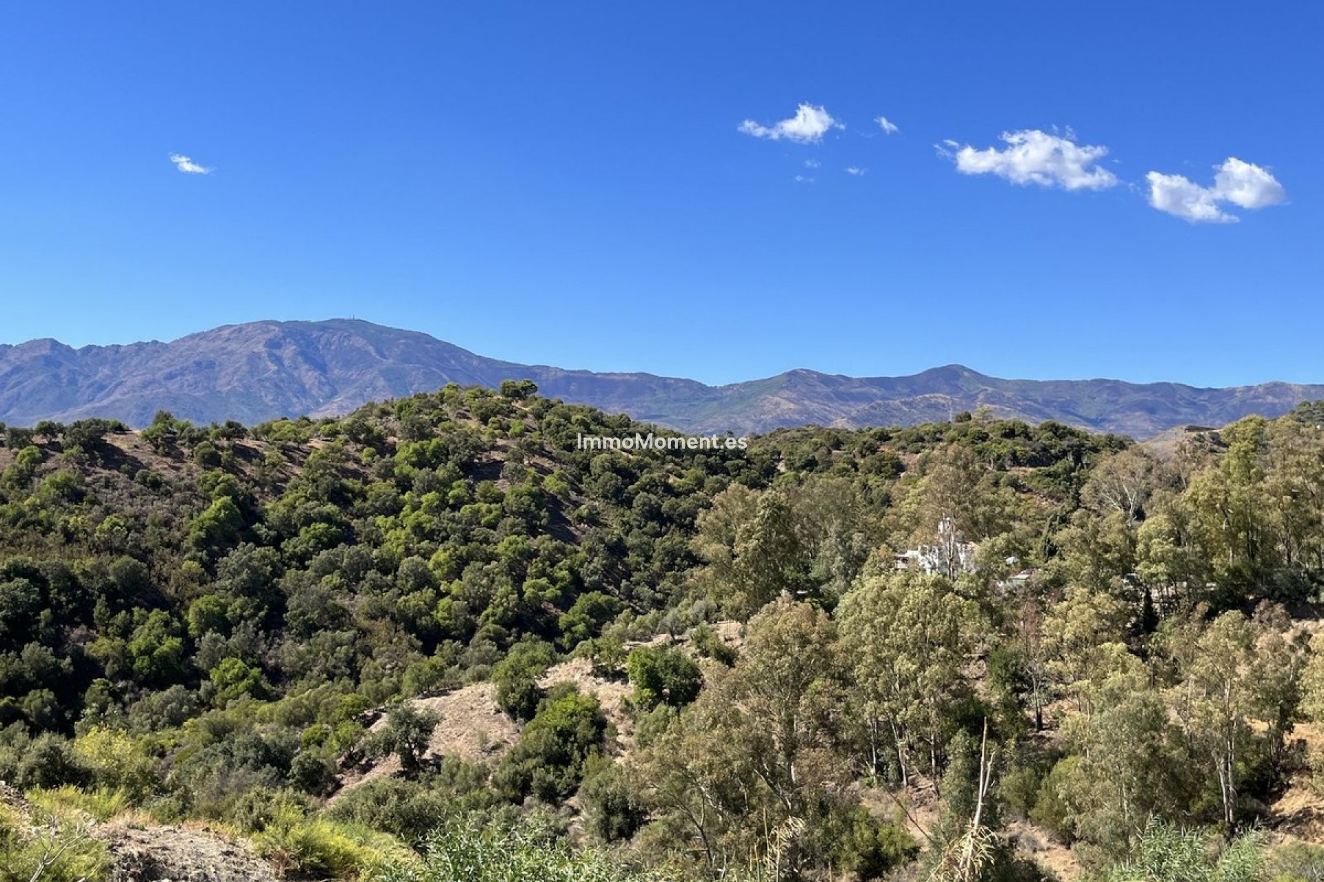 Reventa - Parcela - Estepona  - Selwo