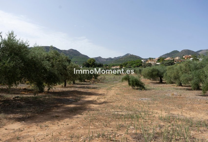 Reventa - Parcela - Interior  - Alhaurín de la Torre