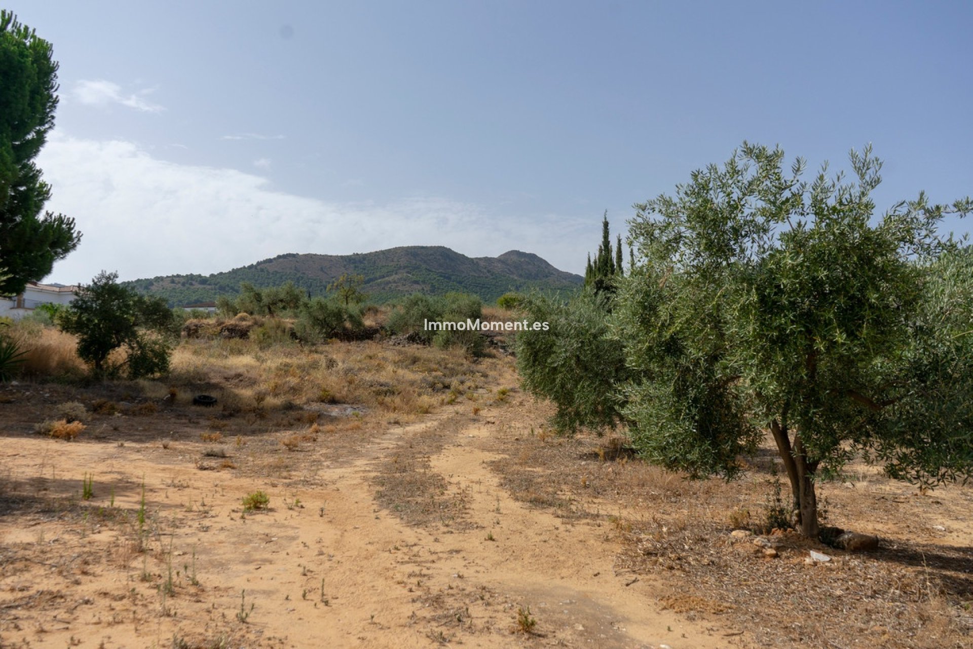 Reventa - Parcela - Interior  - Alhaurín de la Torre