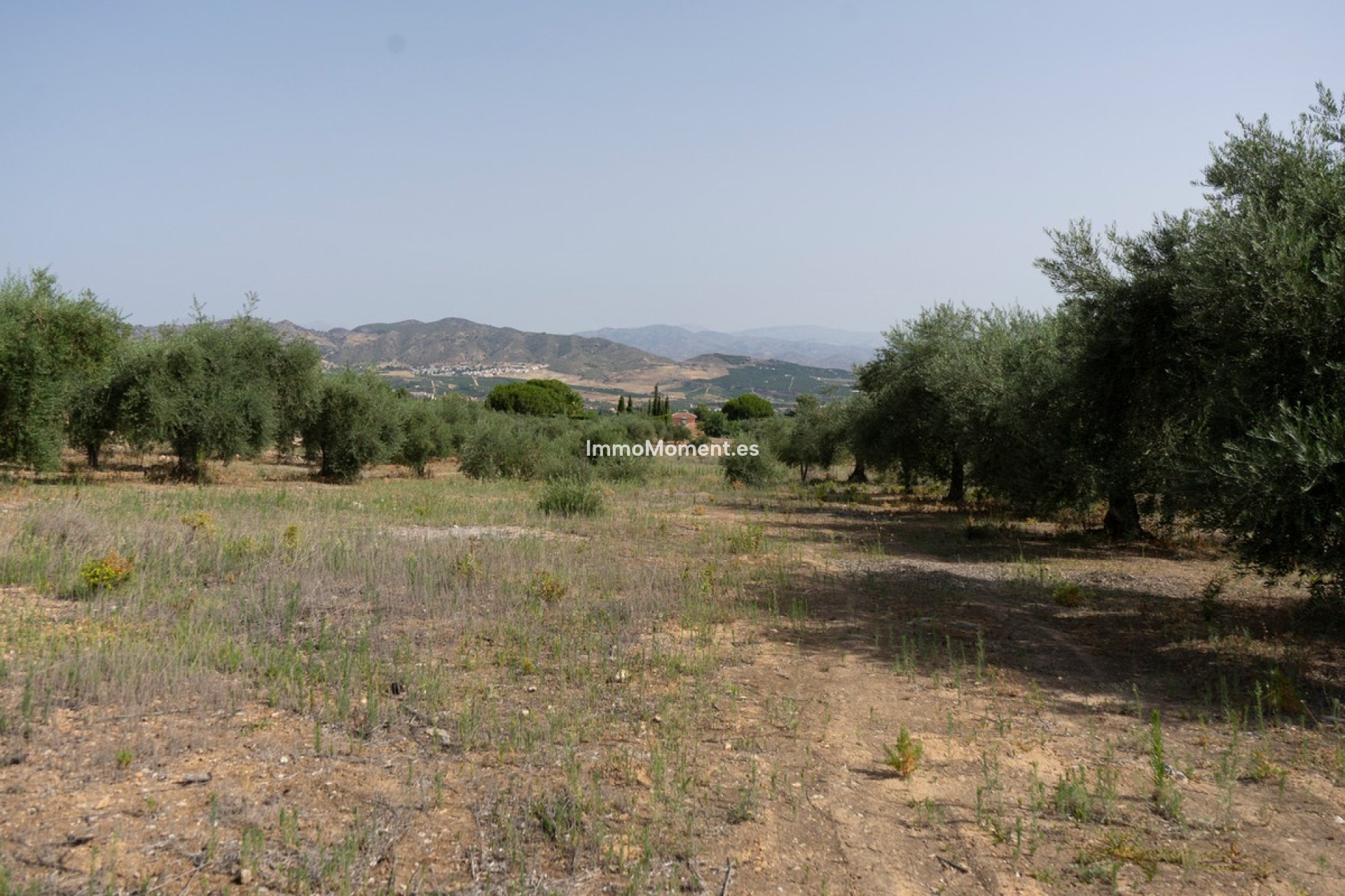 Reventa - Parcela - Interior  - Alhaurín de la Torre