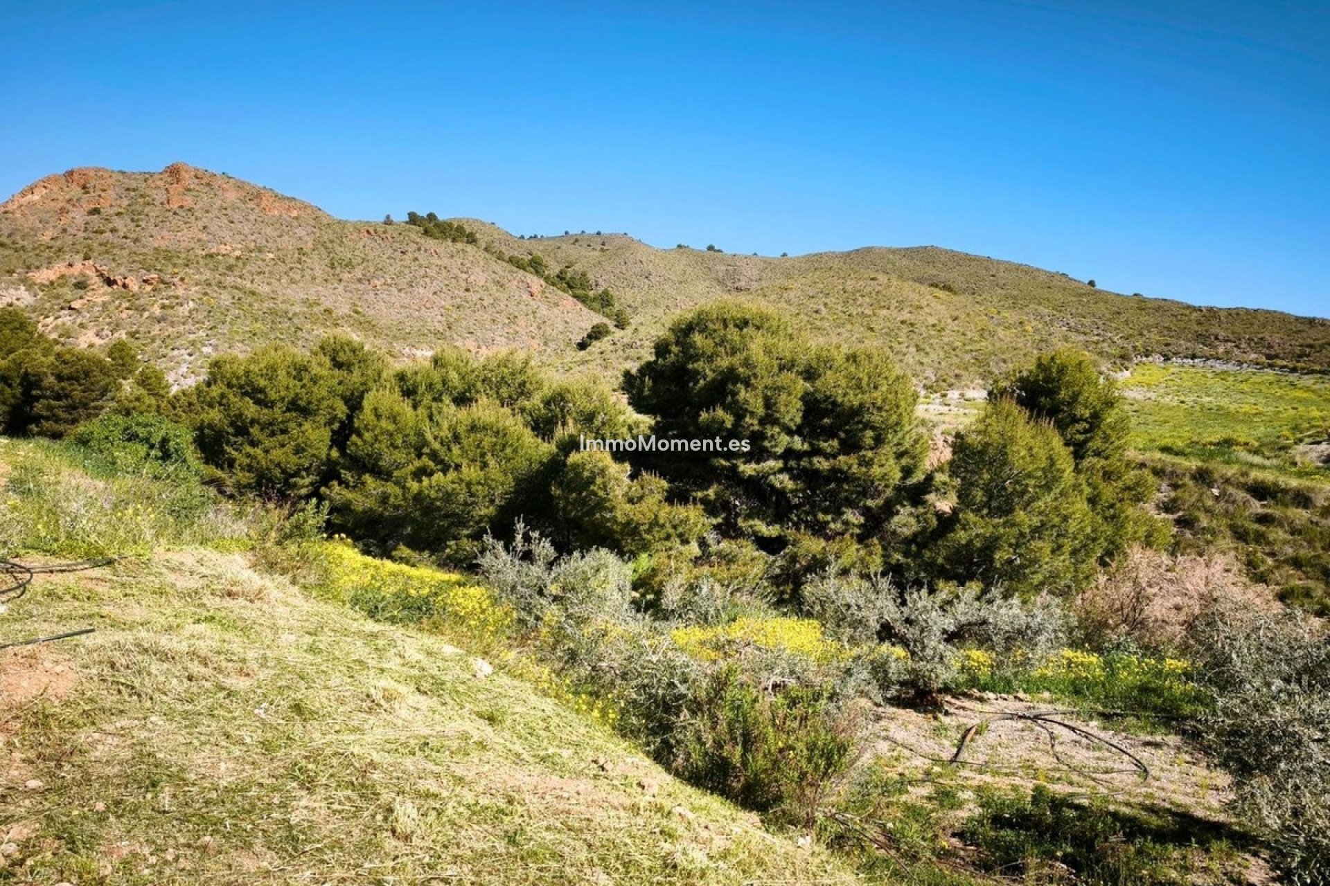 Reventa - Parcela - Lorca - Lorca Centro