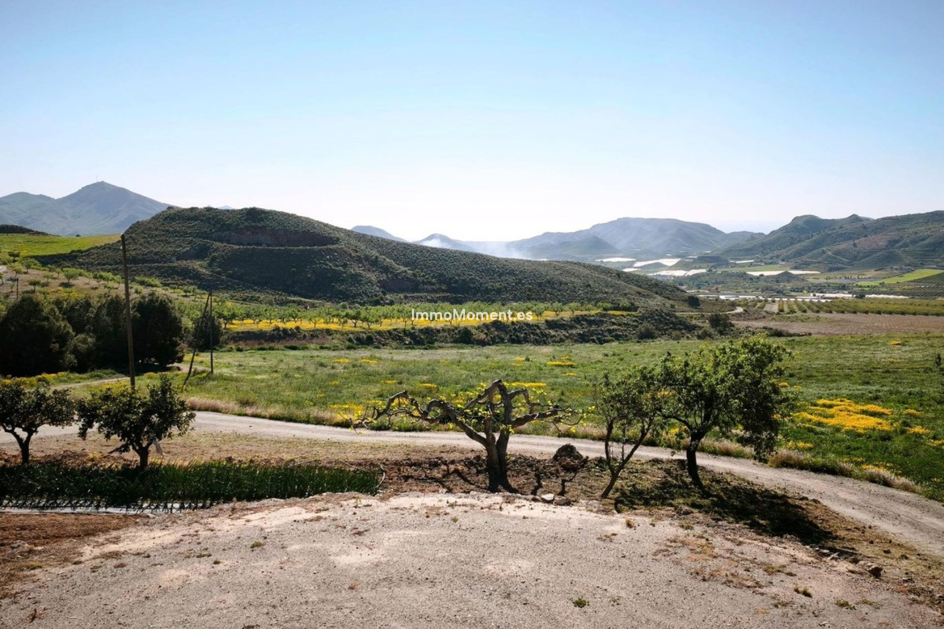 Reventa - Parcela - Lorca - Lorca Centro