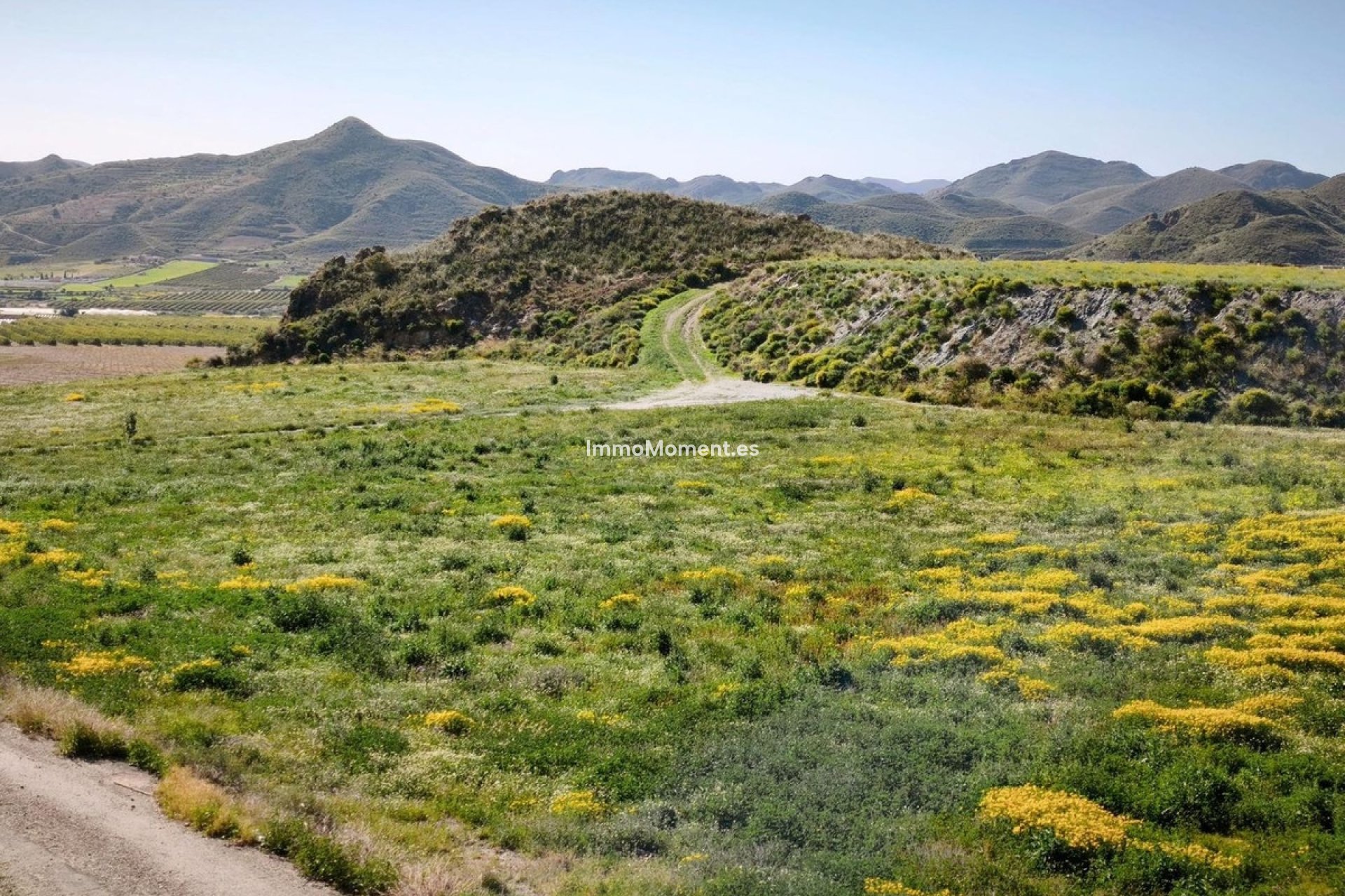 Reventa - Parcela - Lorca - Lorca Centro