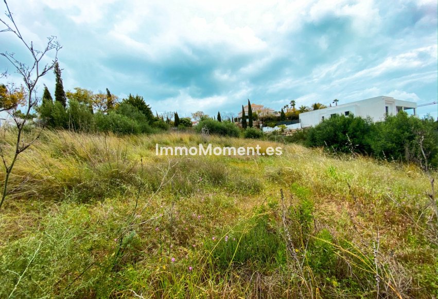 Reventa - Parcela - Málaga - Benahavís