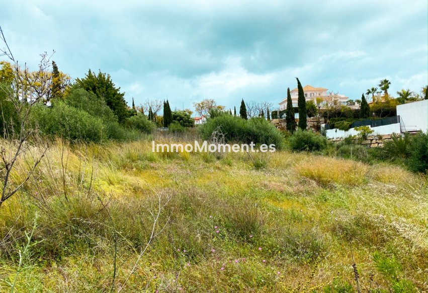 Reventa - Parcela - Málaga - Benahavís