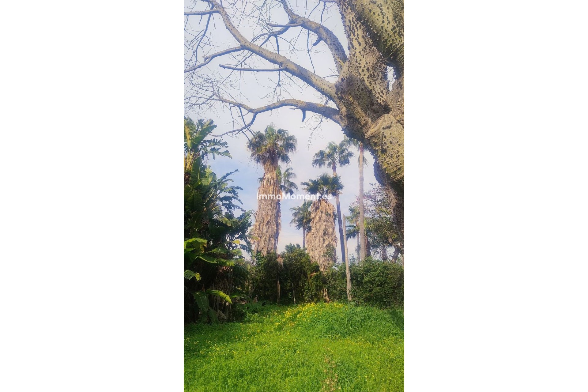 Reventa - Parcela - Marbella - Hacienda Las Chapas
