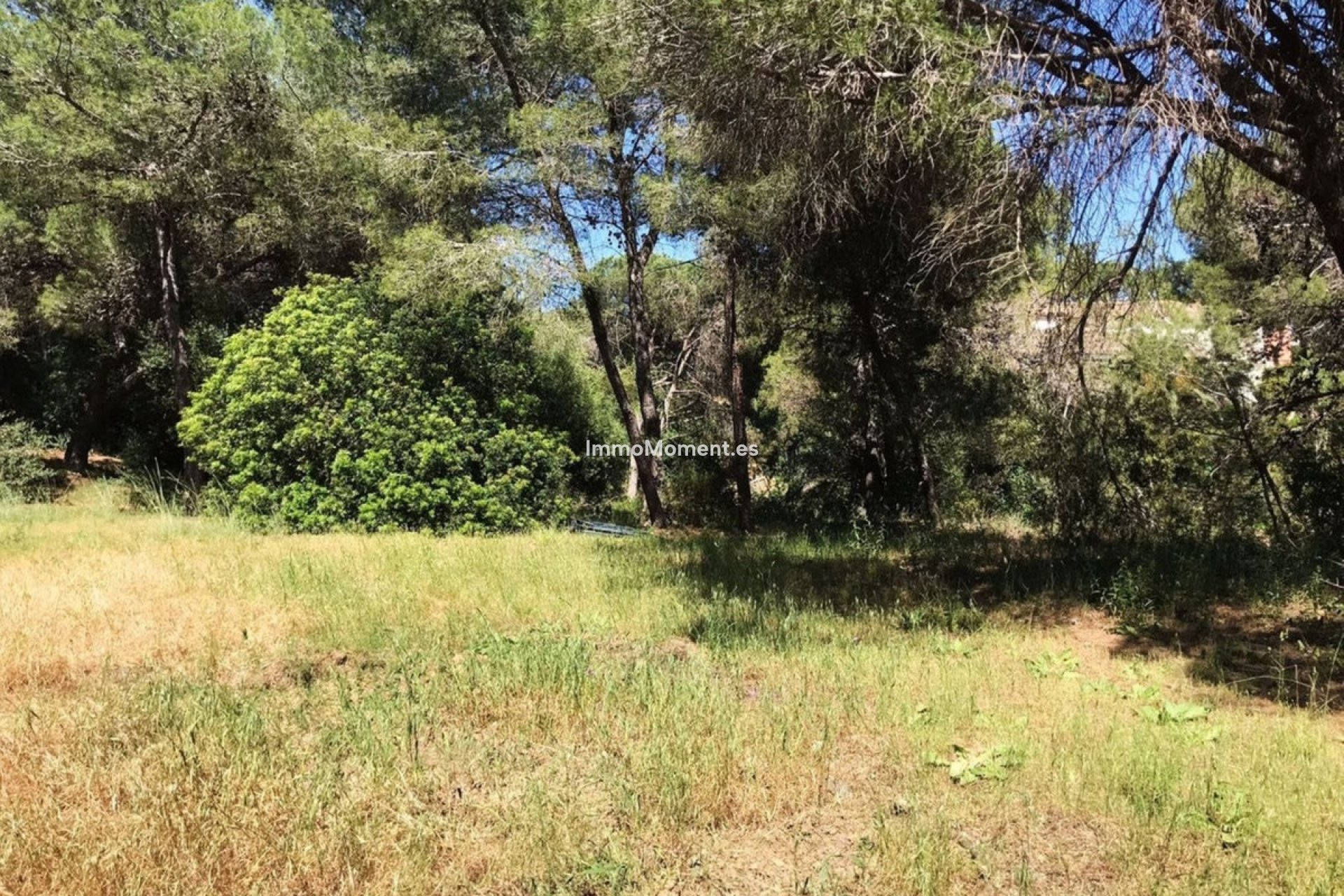 Reventa - Parcela - Marbella - Hacienda Las Chapas