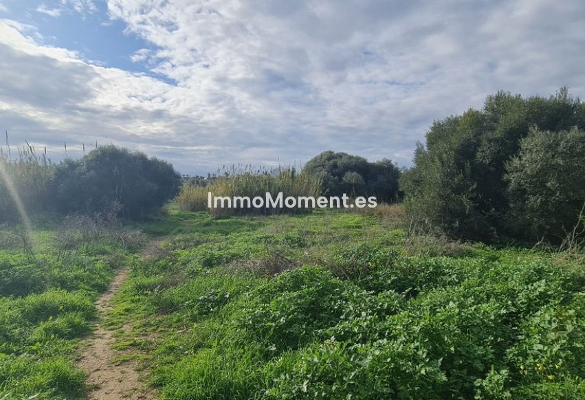 Reventa - Parcela - Mijas - Campo Mijas
