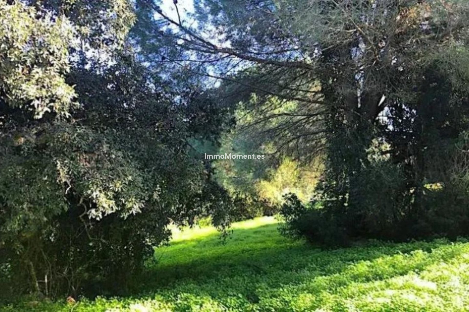 Reventa - Parcela - Sotogrande - Sotogrande Alto