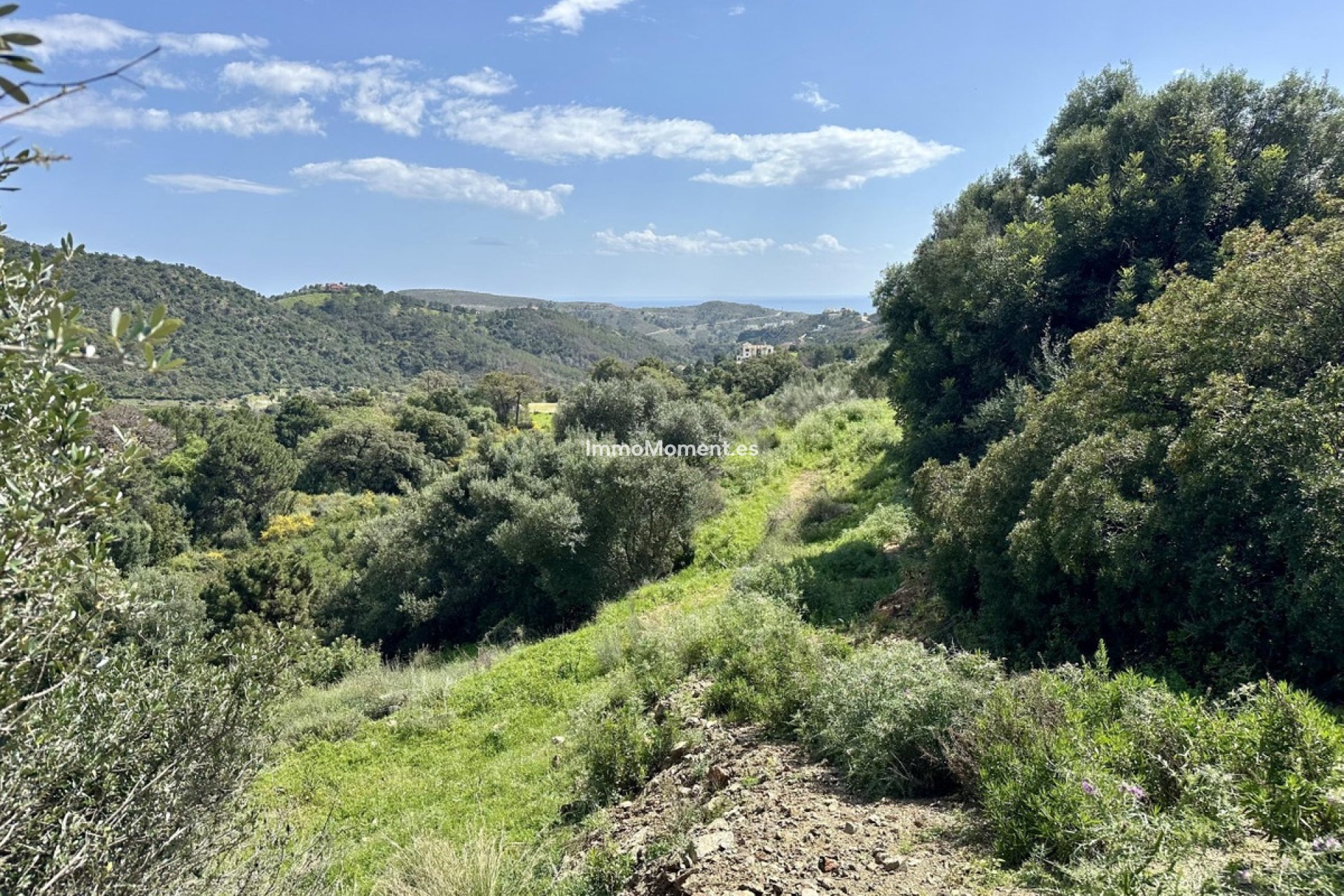 Reventa - Terreno - Benahavís - Benahavís Centro