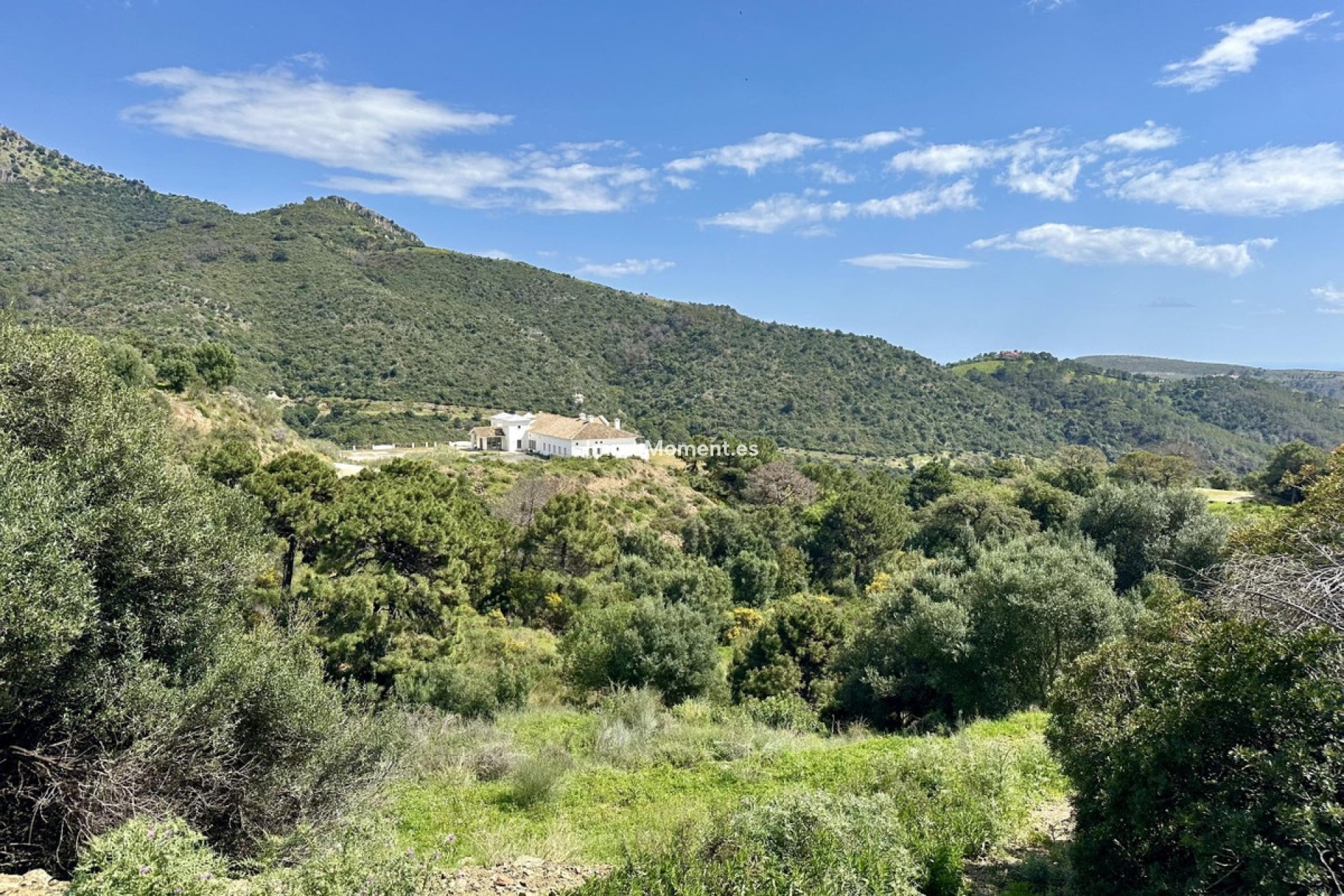 Reventa - Terreno - Benahavís - Benahavís Centro