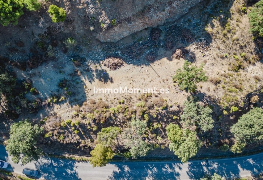 Reventa - Terreno - Benahavís - La Zagaleta