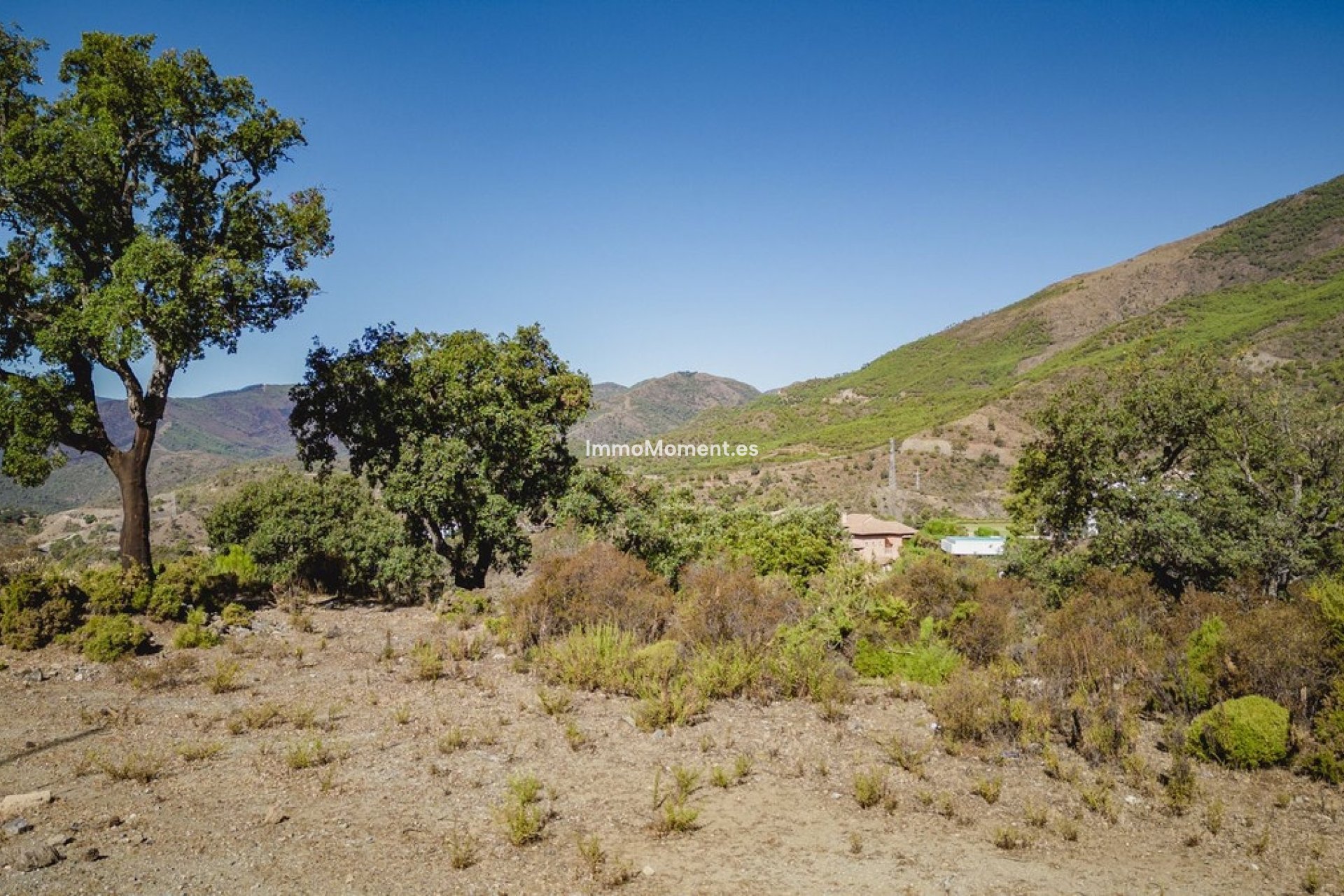 Reventa - Terreno - Benahavís - La Zagaleta