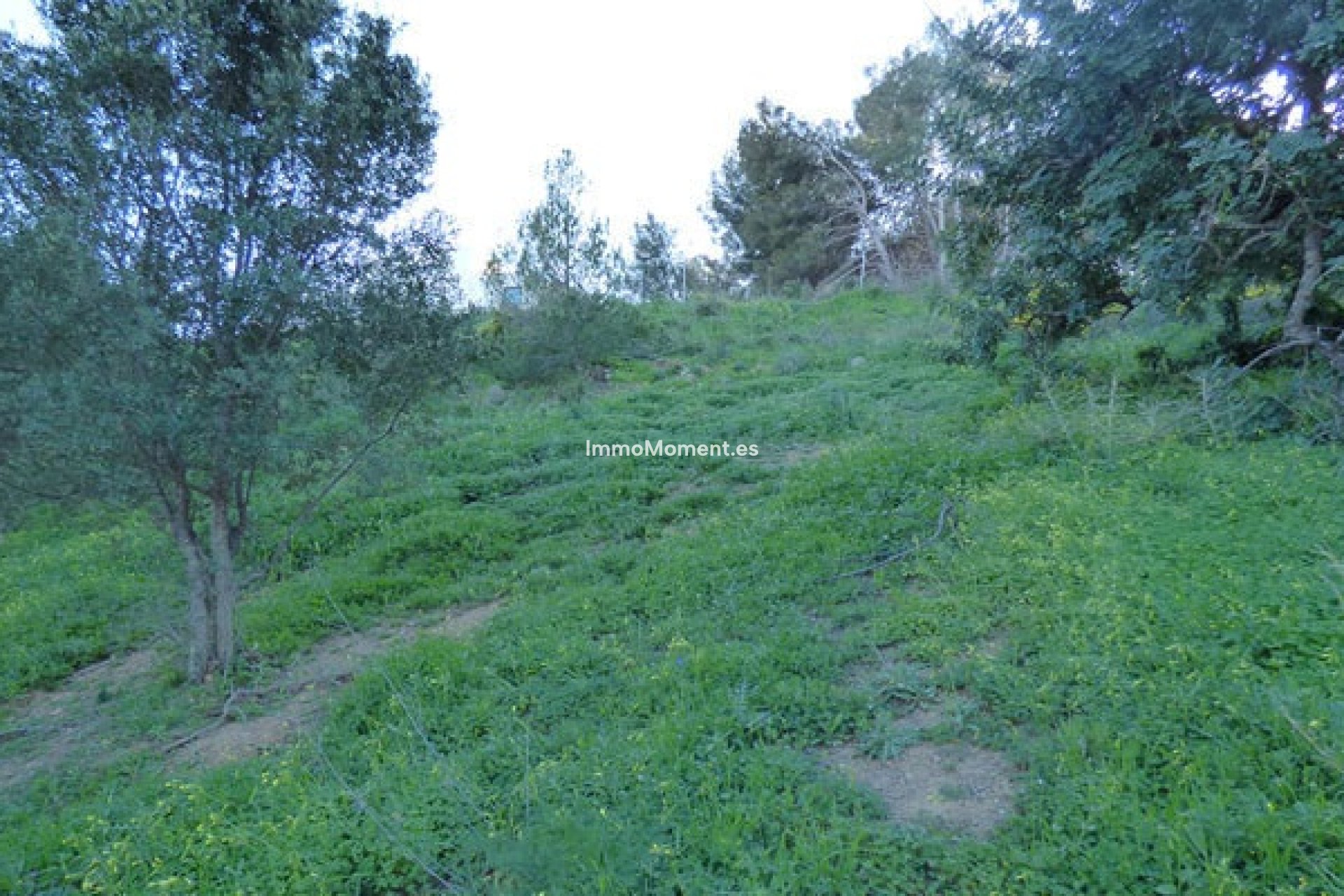 Reventa - Terreno - Benalmadena - Benalmadena Pueblo