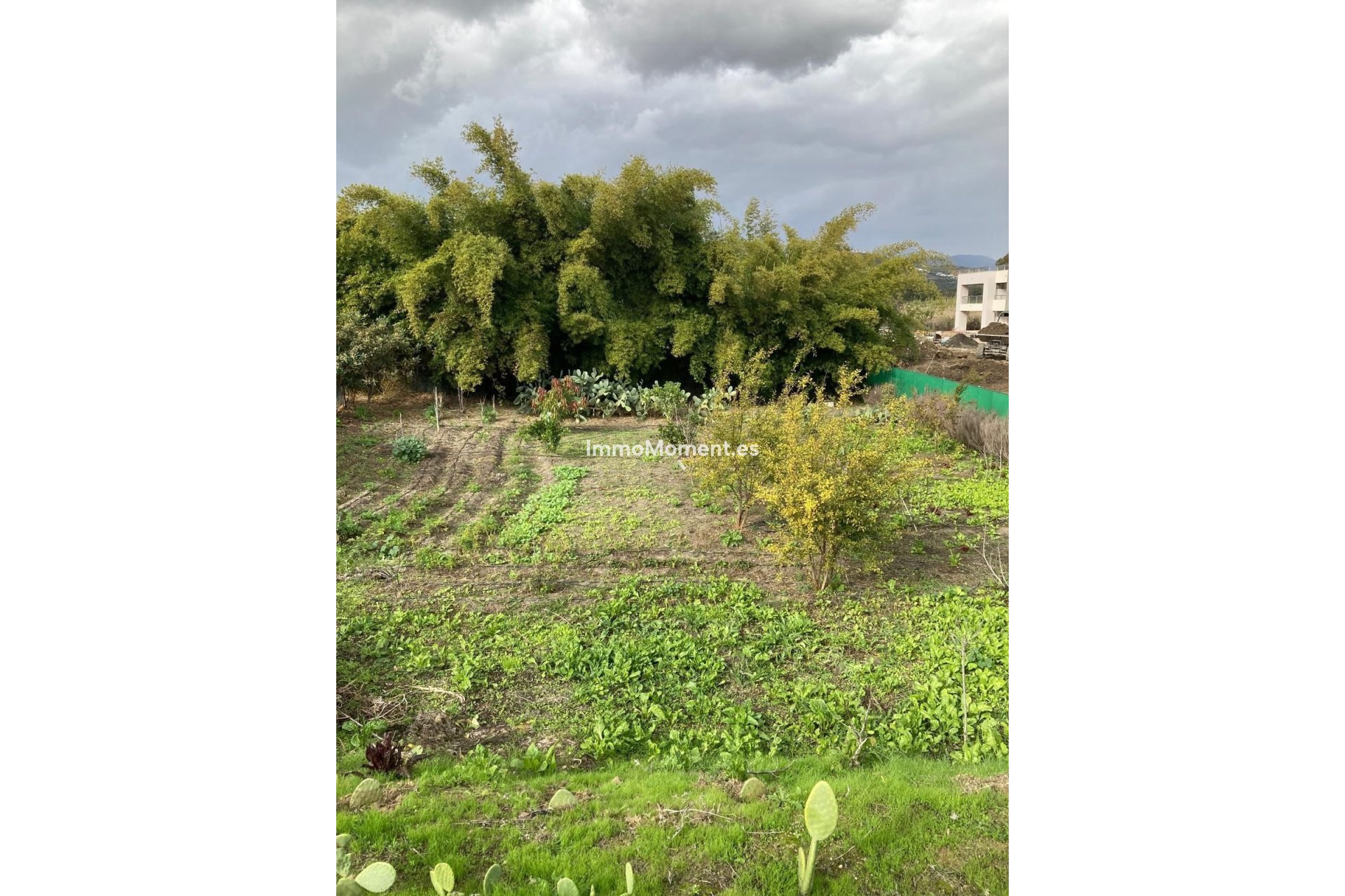 Reventa - Terreno - Casares - Casares Centro