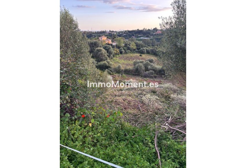 Reventa - Terreno - Estepona  - Estepona Centro