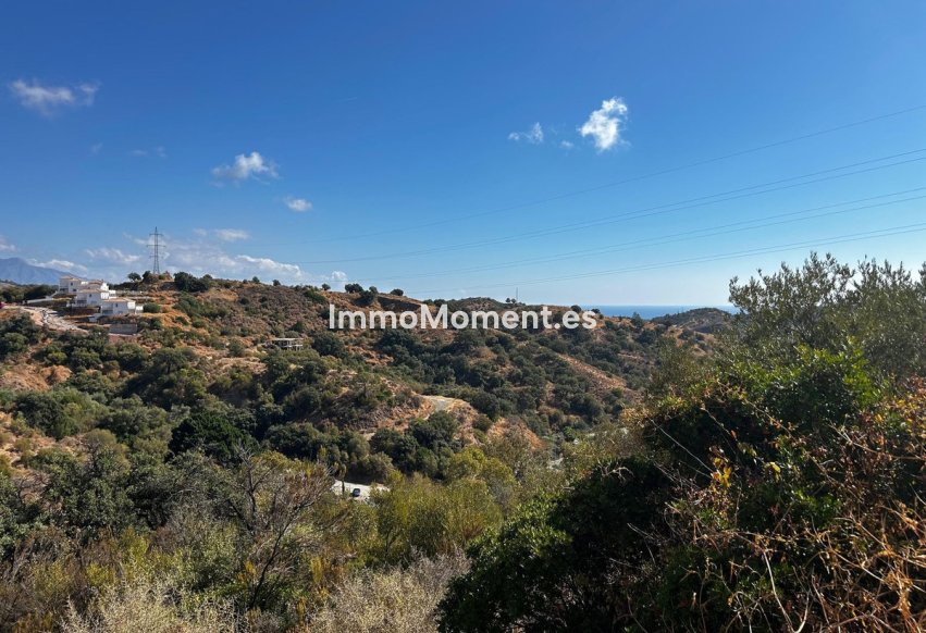 Reventa - Terreno - Estepona  - Estepona Centro