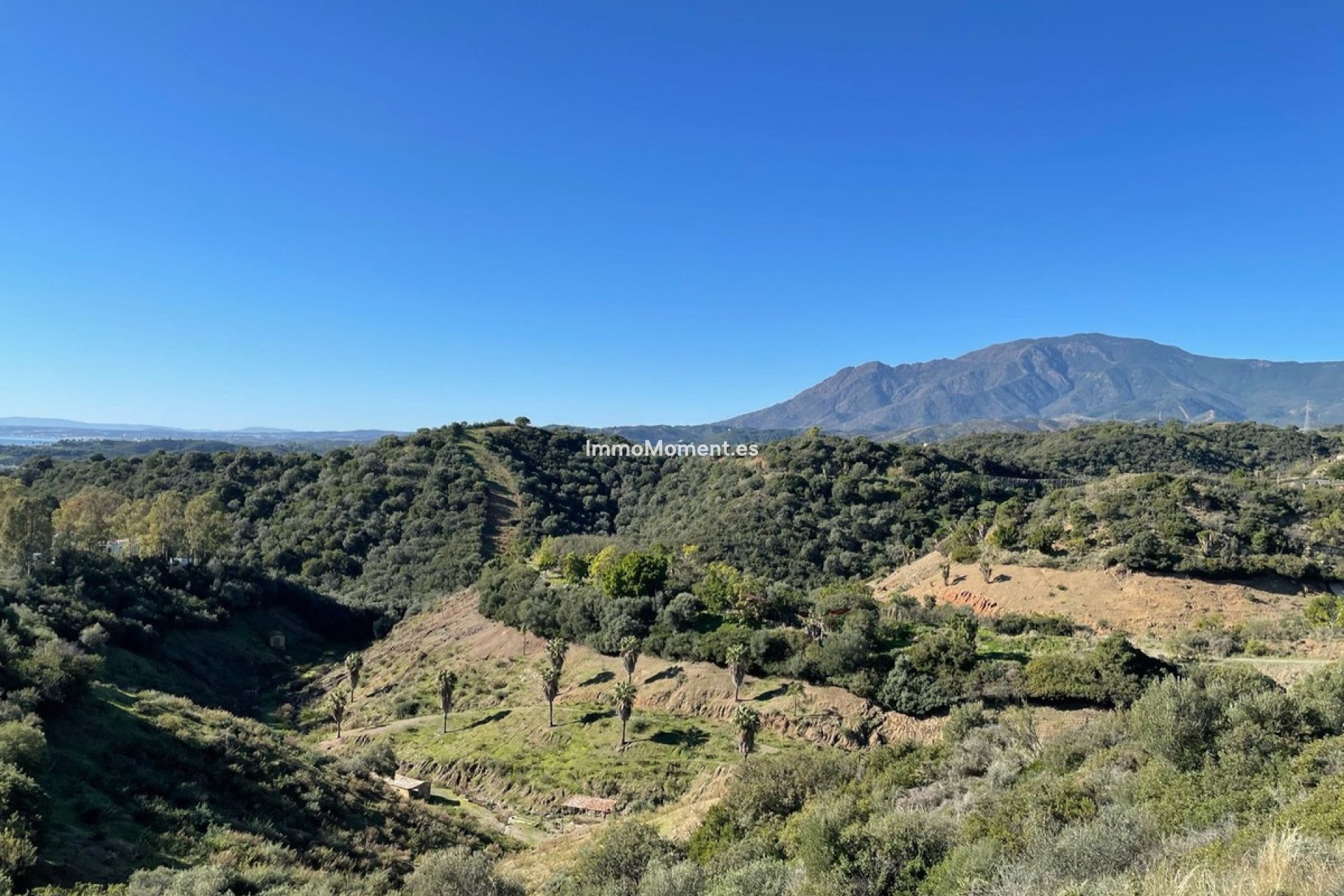 Reventa - Terreno - Estepona  - Selwo