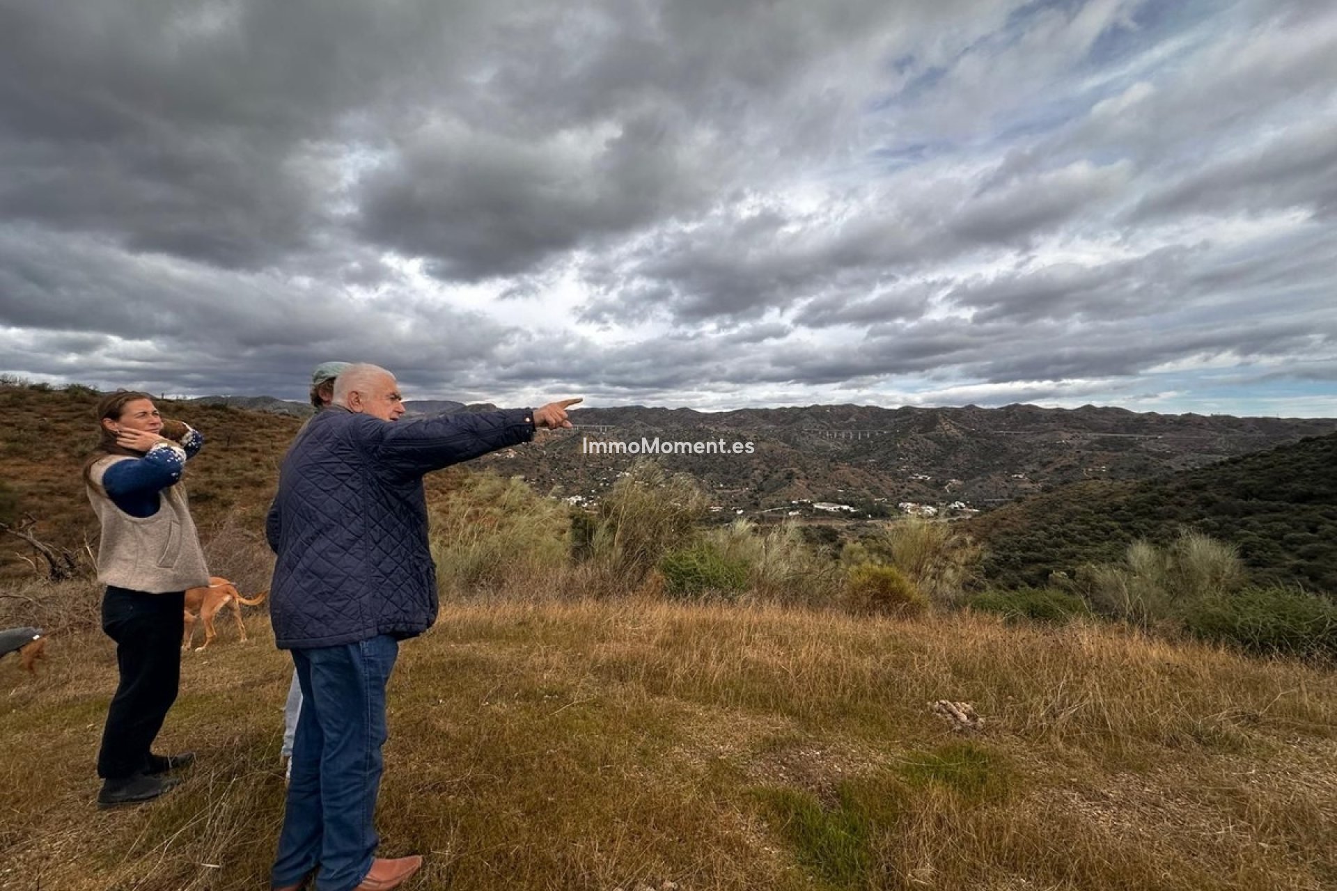 Reventa - Terreno - Interior  - Almogía