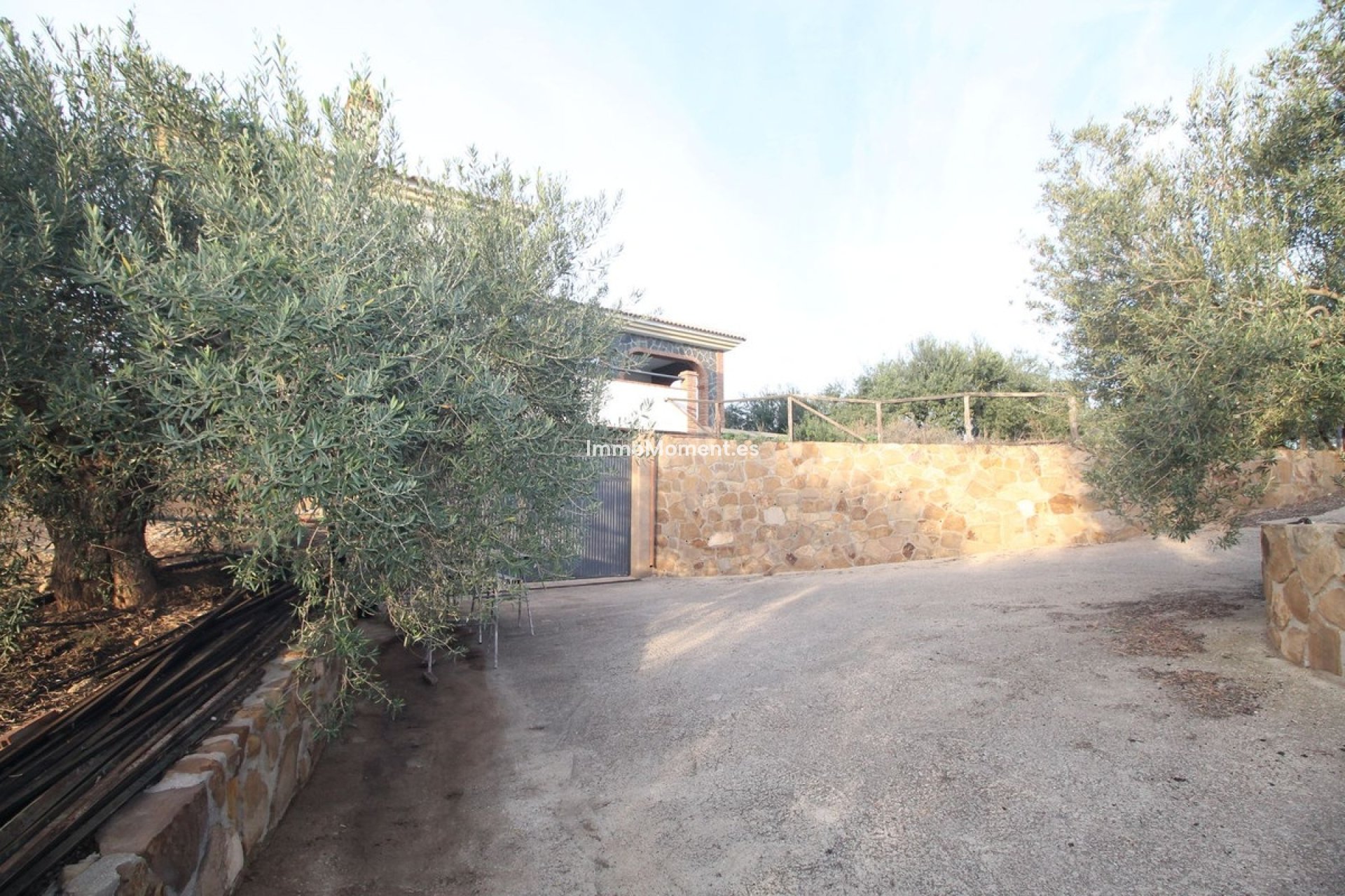 Reventa - Terreno - Interior  - Alora