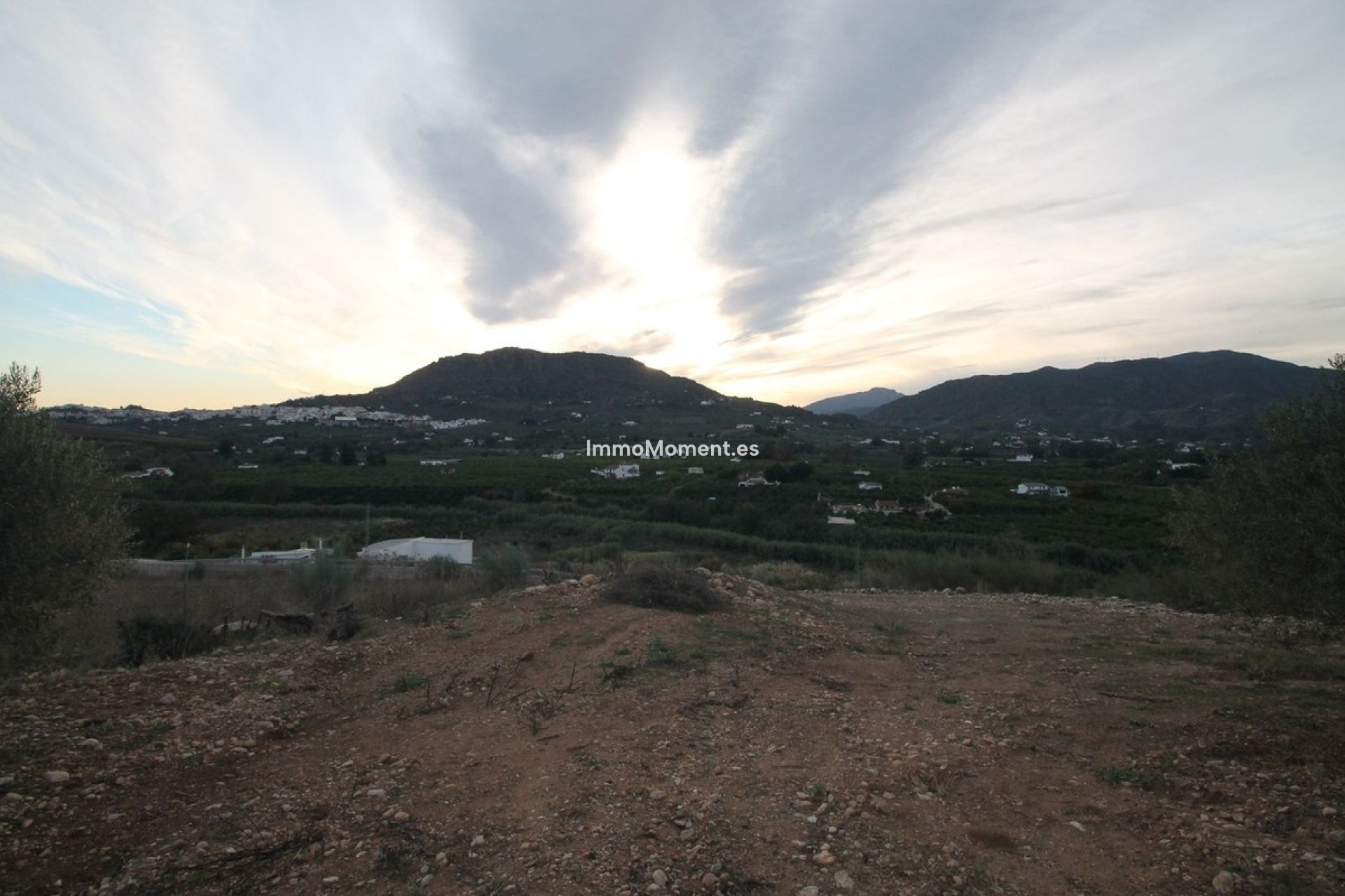 Reventa - Terreno - Interior  - Alora