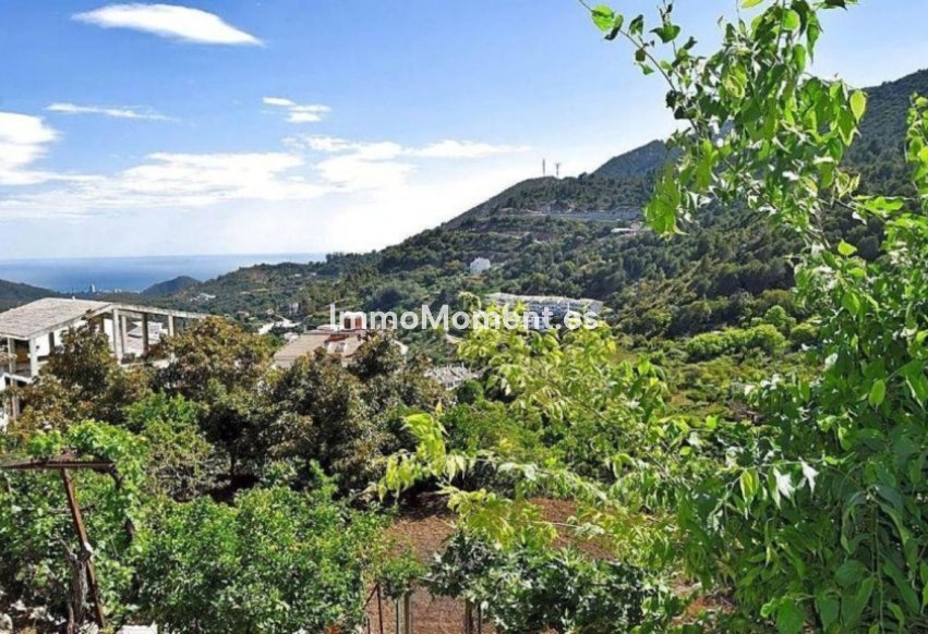 Reventa - Terreno - Interior  - Ojén