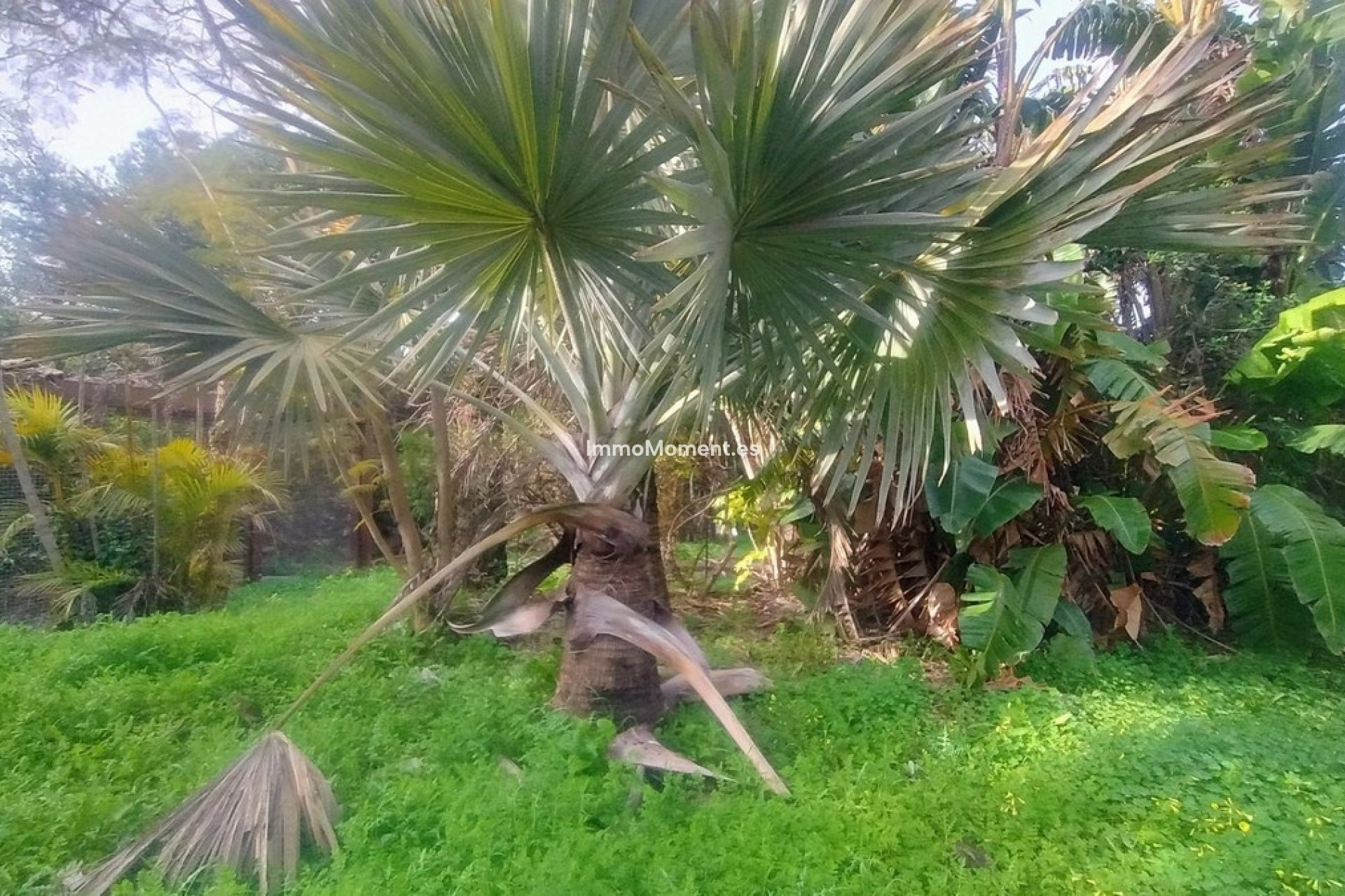 Reventa - Terreno - Marbella - Hacienda Las Chapas