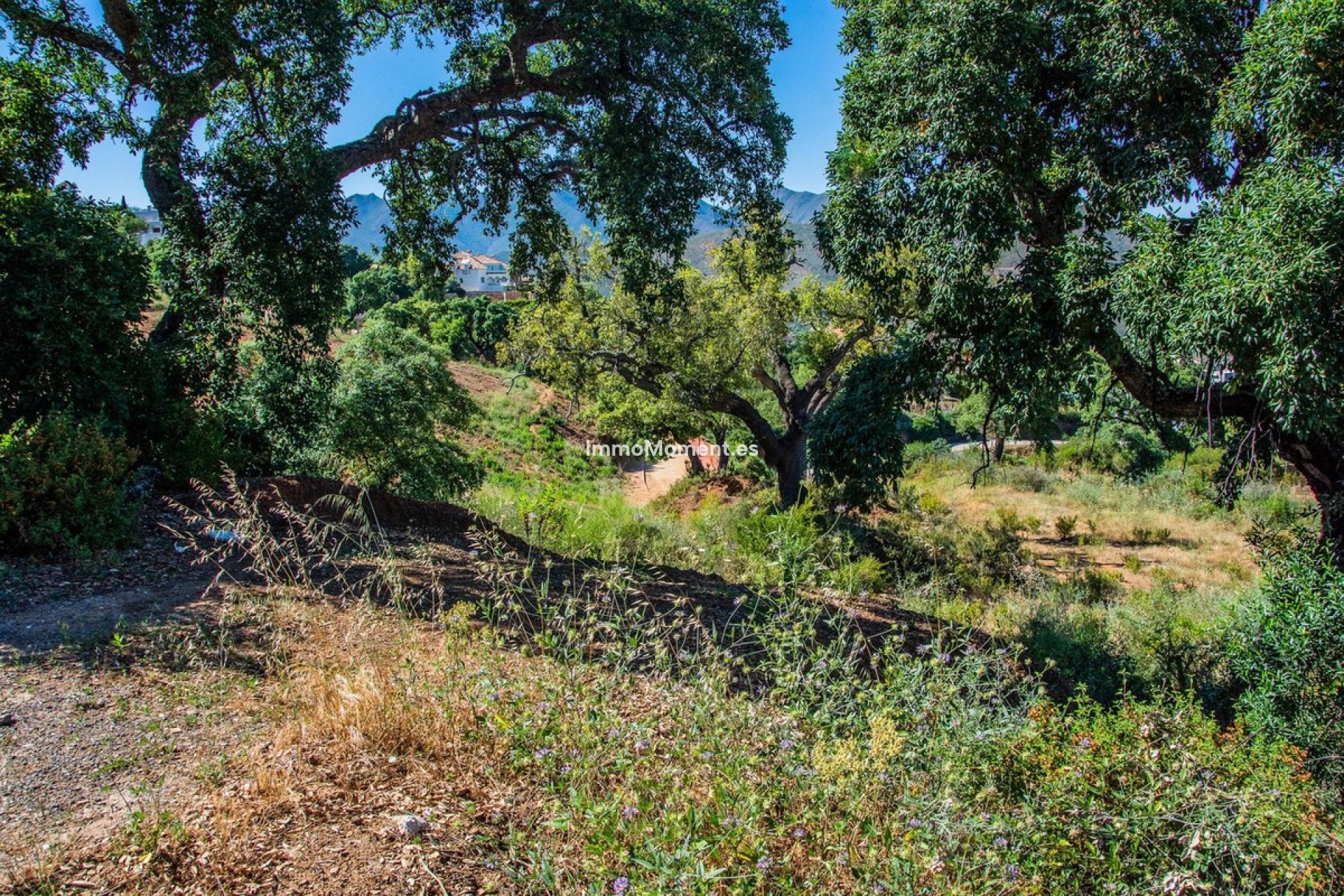 Reventa - Terreno - Marbella - La Mairena