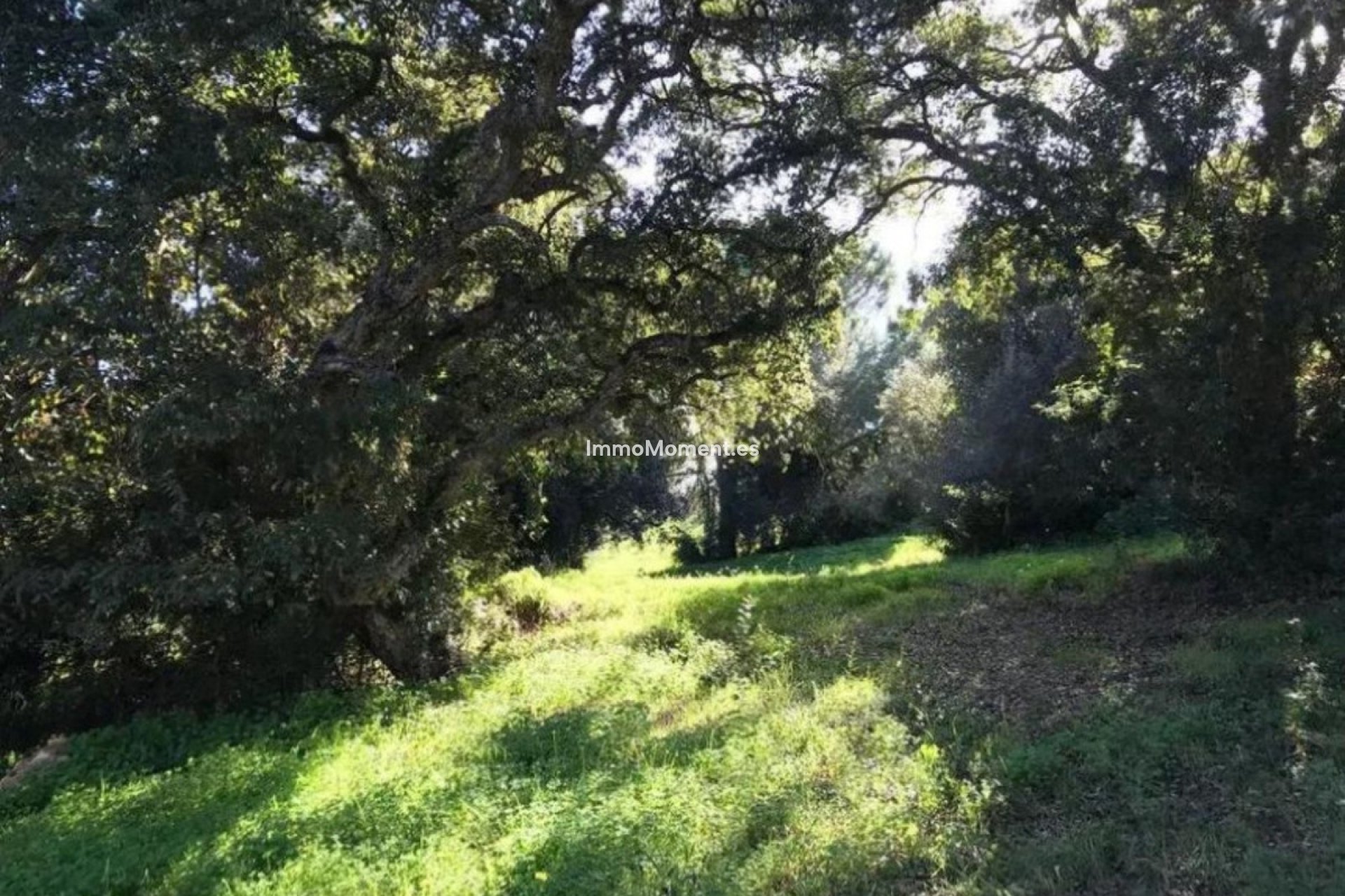 Reventa - Terreno - Sotogrande - Sotogrande Alto