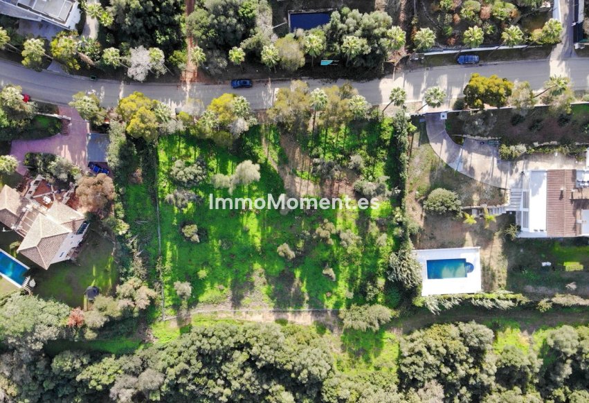 Reventa - Terreno - Sotogrande