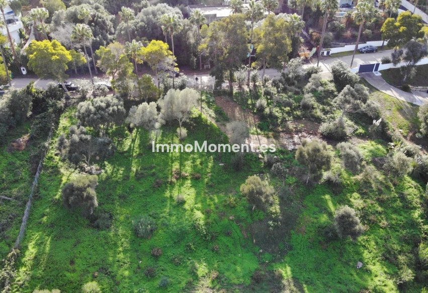 Reventa - Terreno - Sotogrande