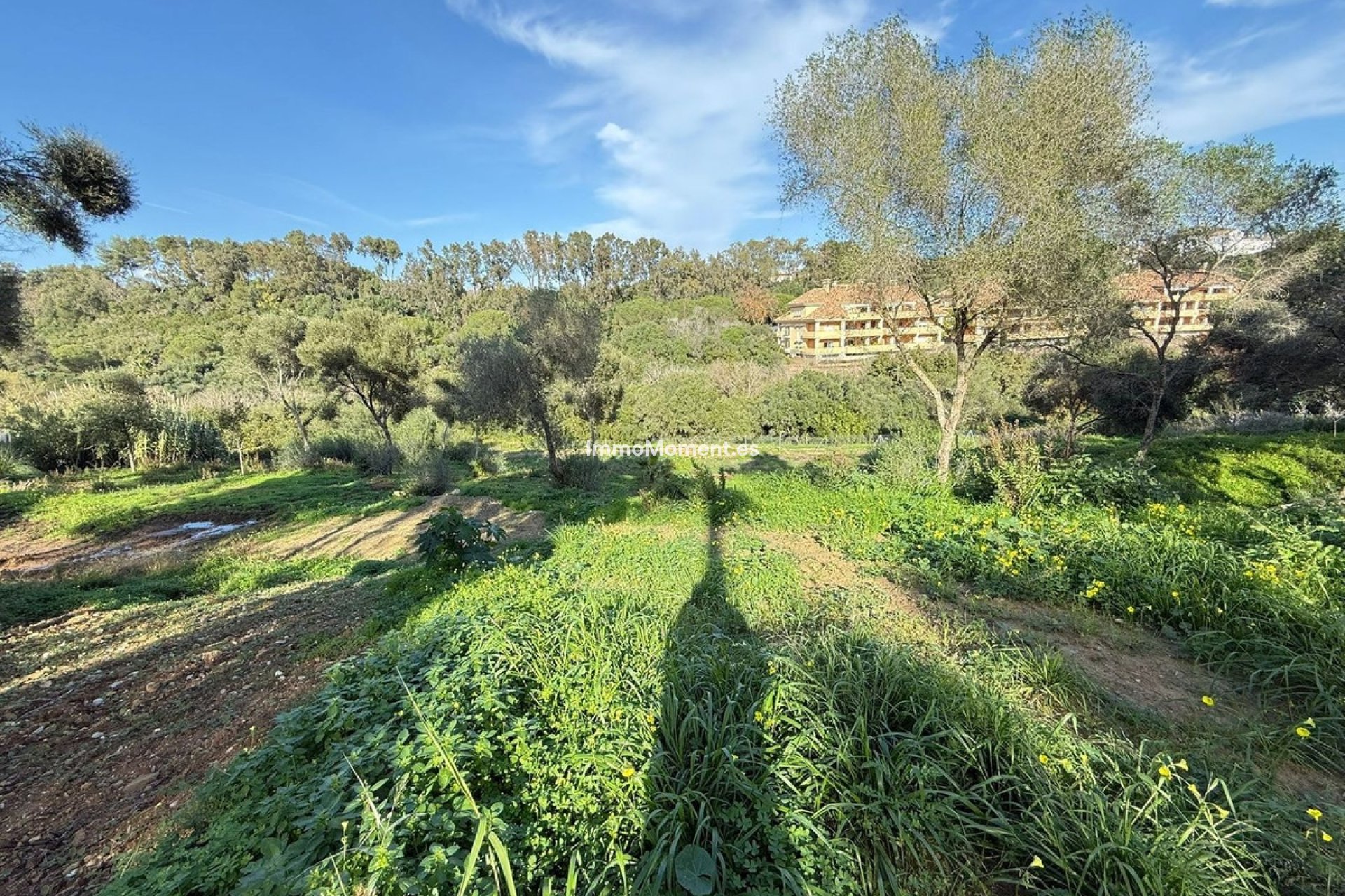 Reventa - Terreno - Sotogrande