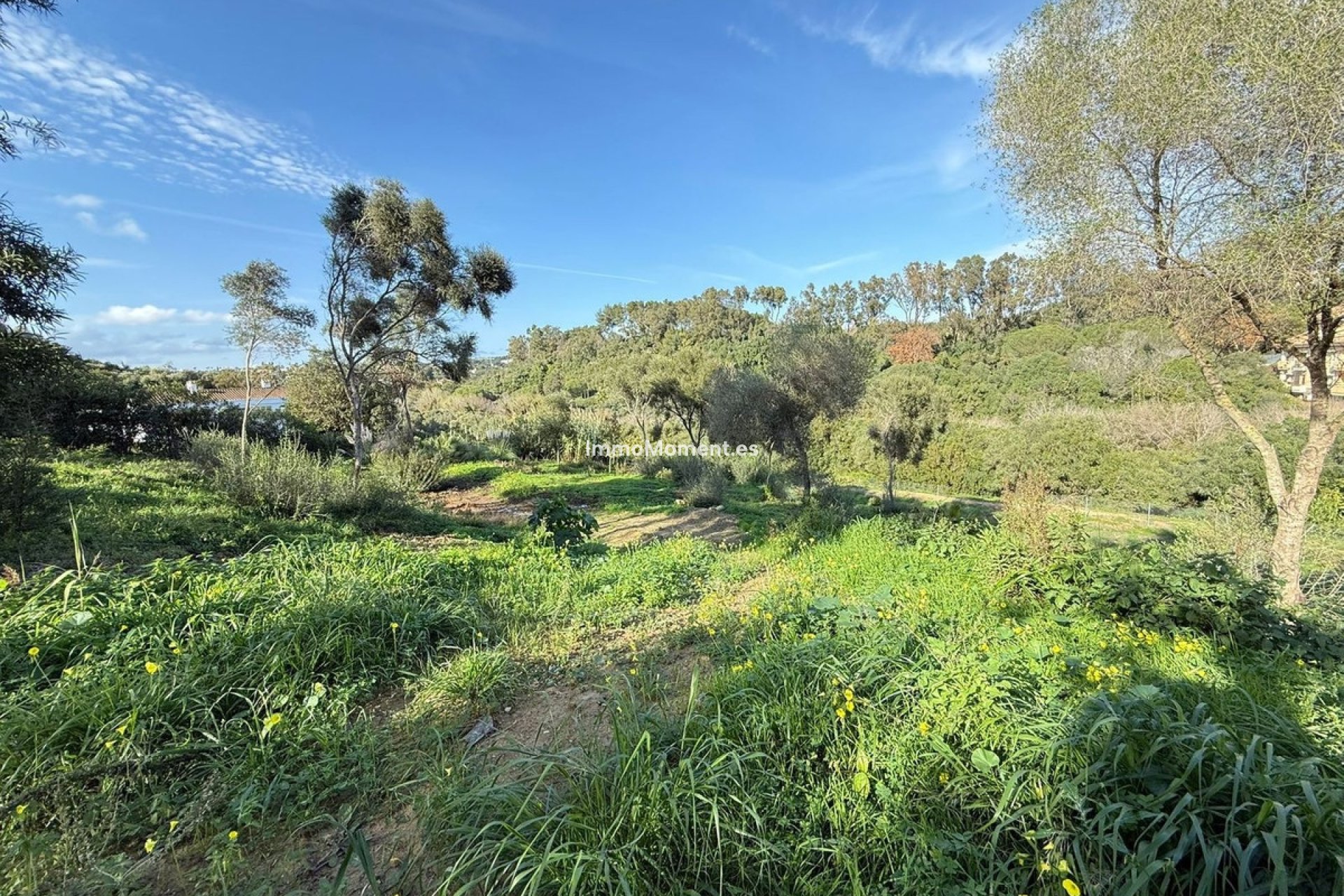 Reventa - Terreno - Sotogrande