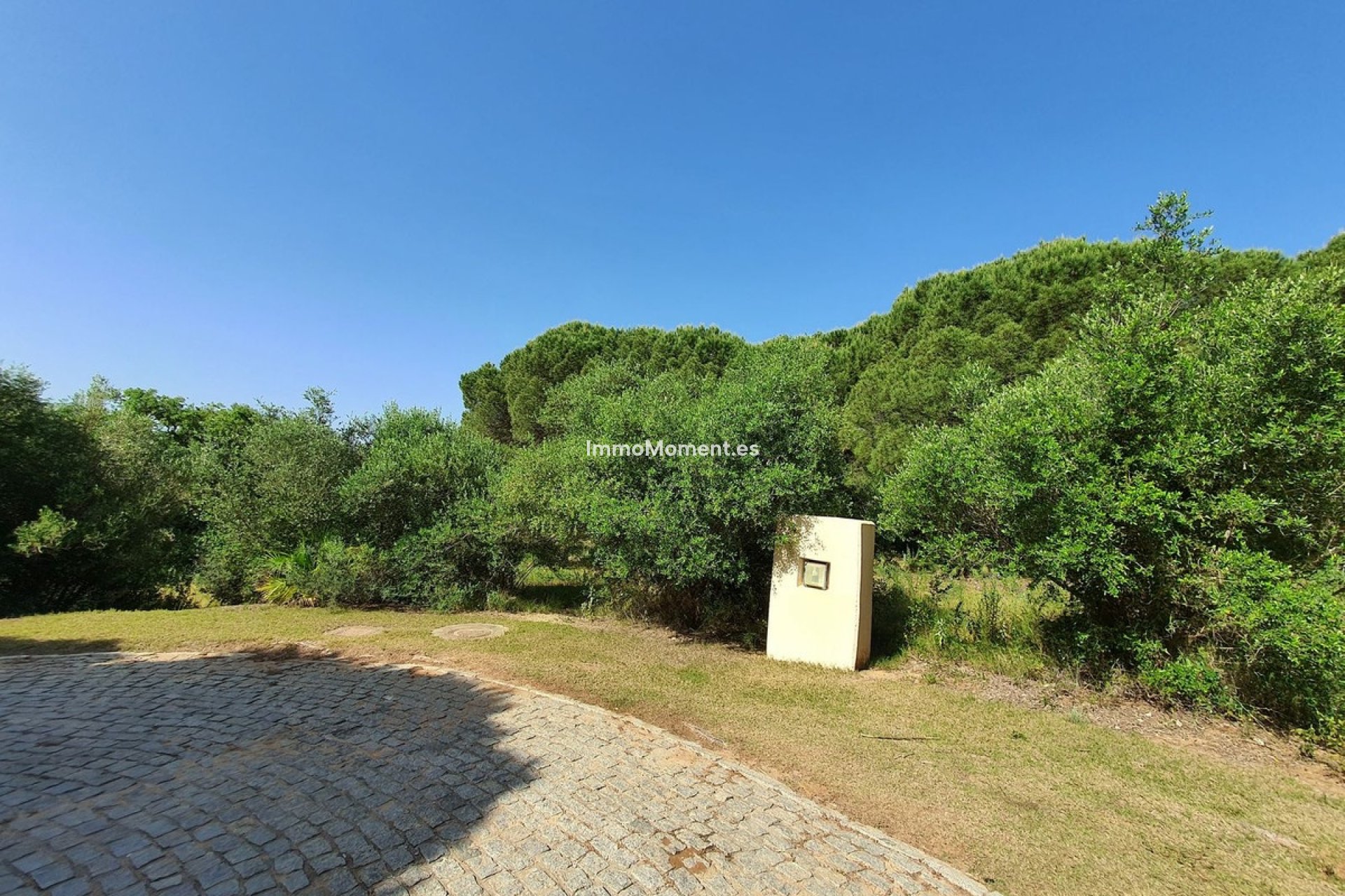 Reventa - Terreno - Sotogrande