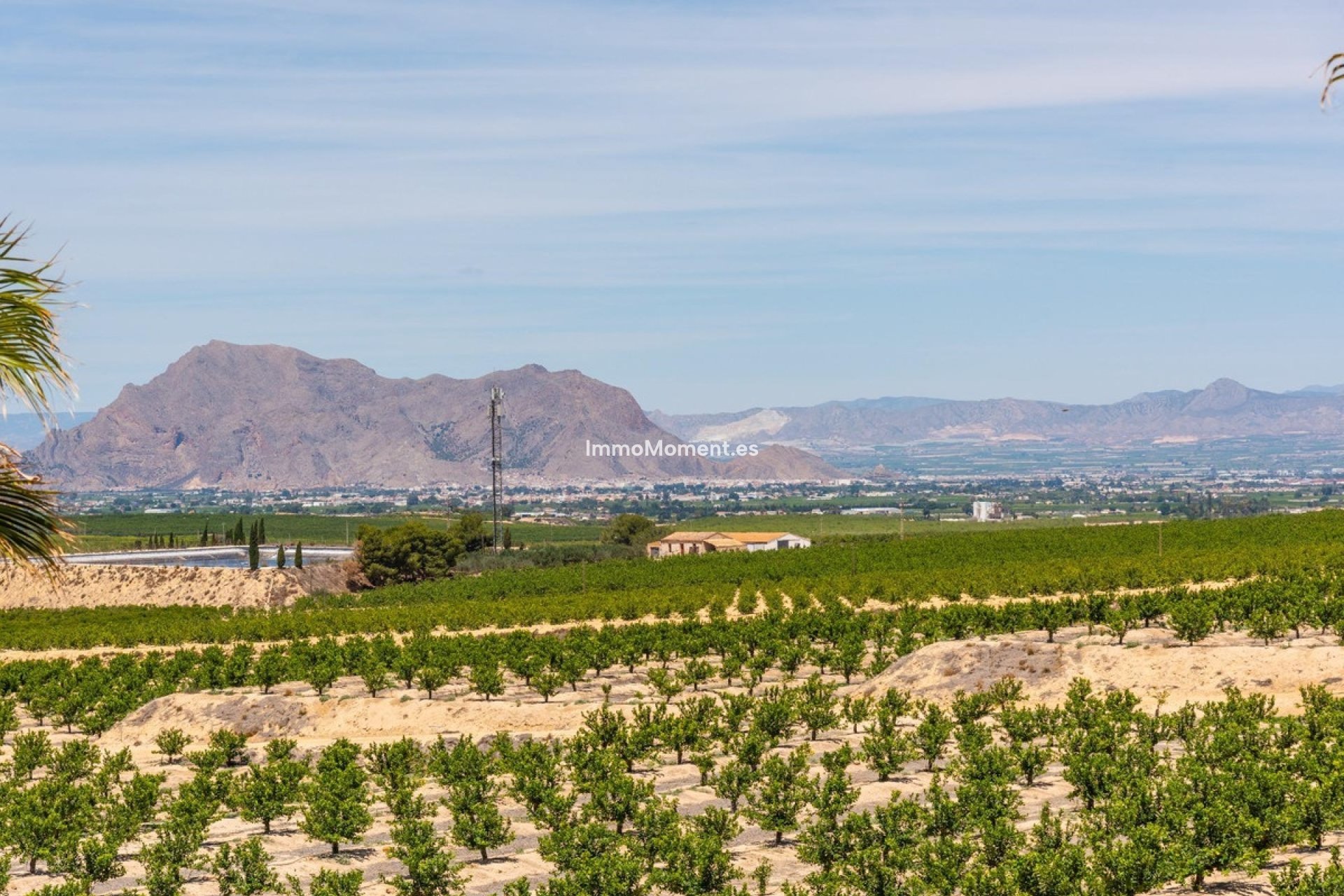 Reventa - Villa - Algorfa - Algorfa Centro