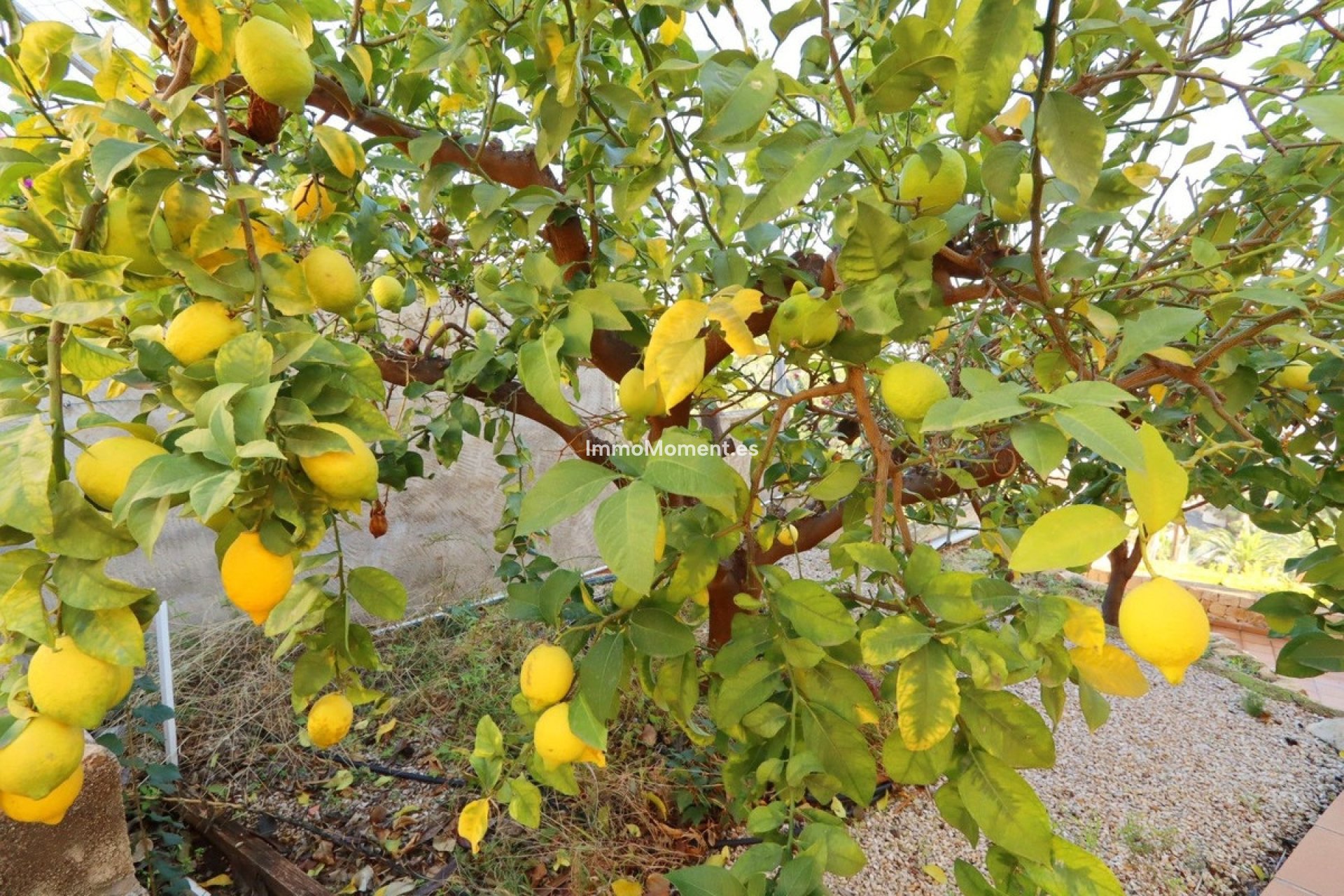 Reventa - Villa - Altea - Altea Centro