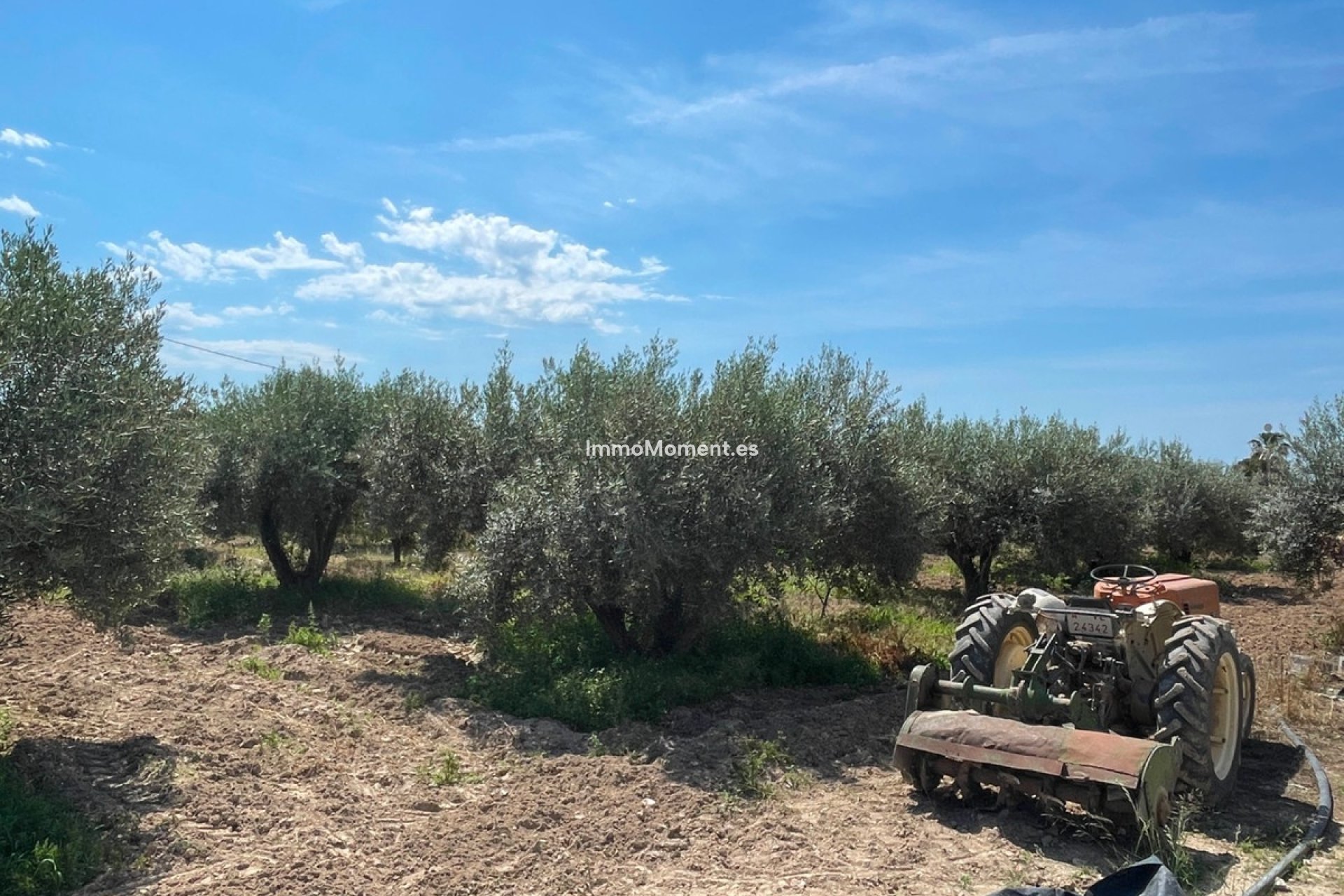 Reventa - Villa - Crevillente - Crevillente - Crevillent Centro