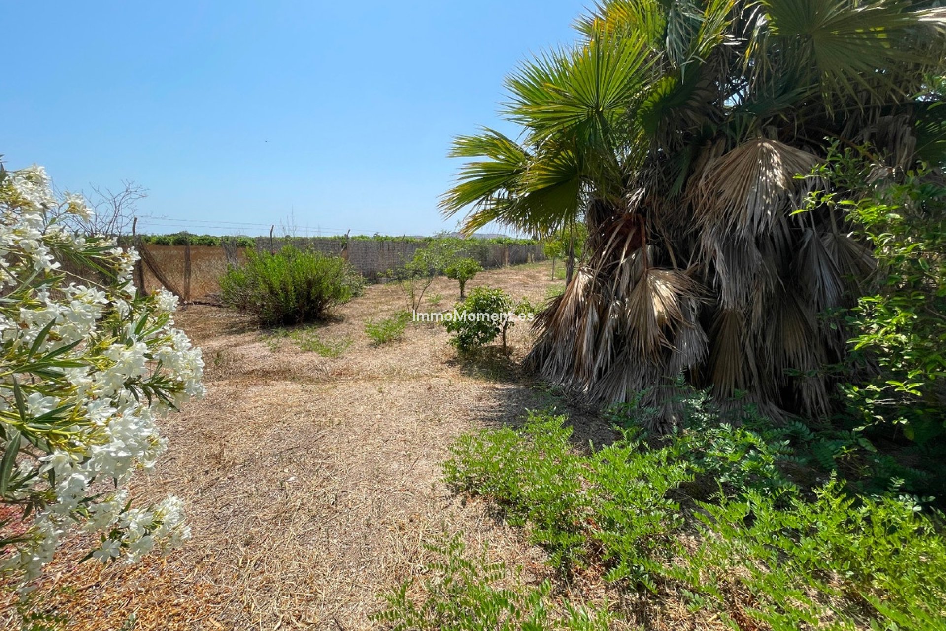 Reventa - Villa - Daya Nueva - Daya Nueva Centro