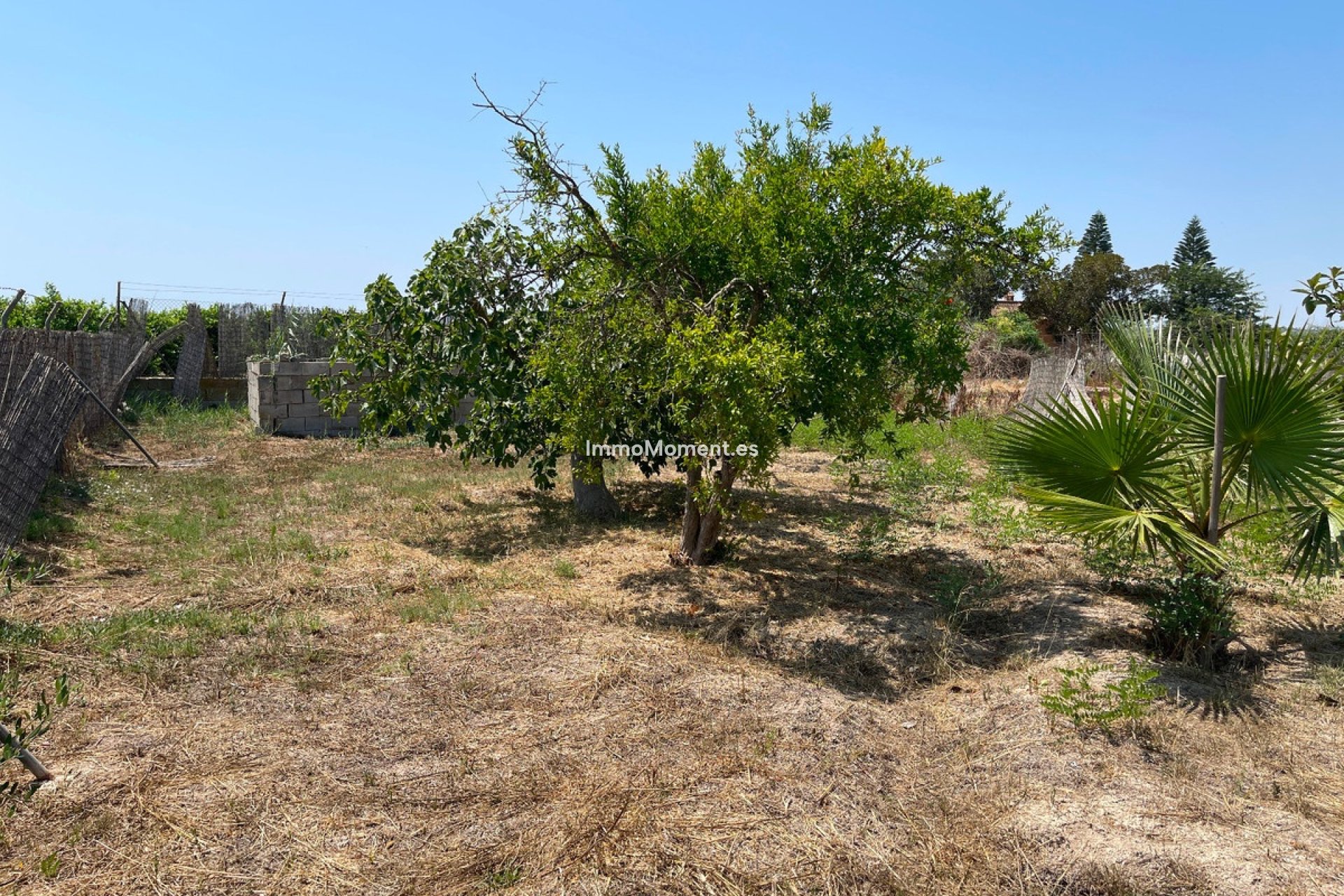 Reventa - Villa - Daya Nueva - Daya Nueva Centro