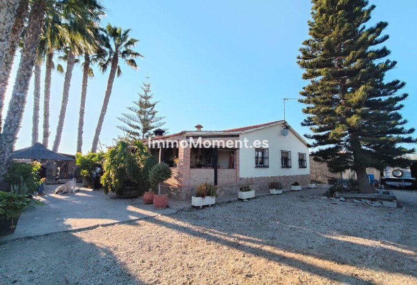 Reventa - Villa - Elche - Las Bayas