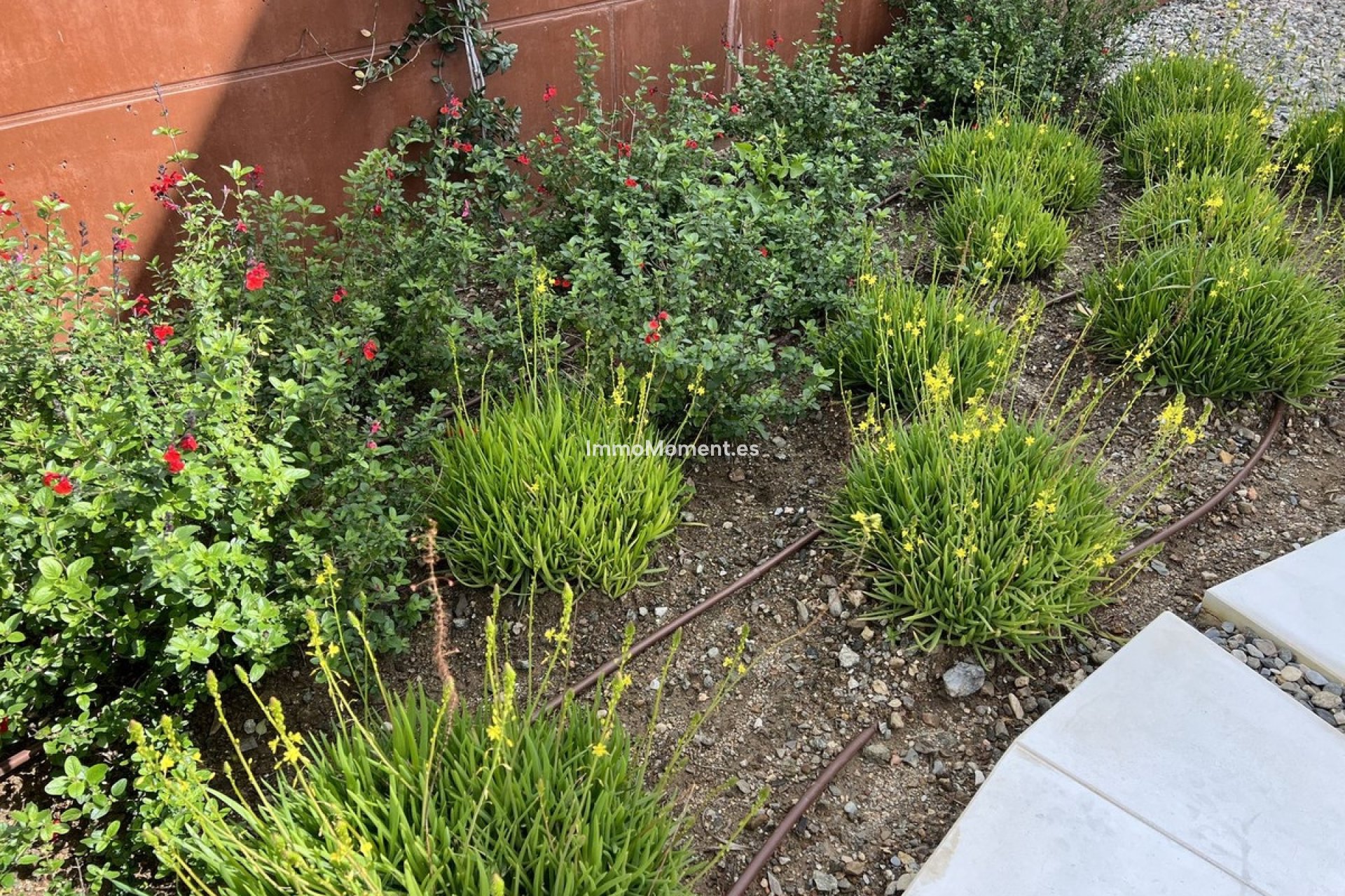 Reventa - Villa - Fuengirola - Fuengirola Centro