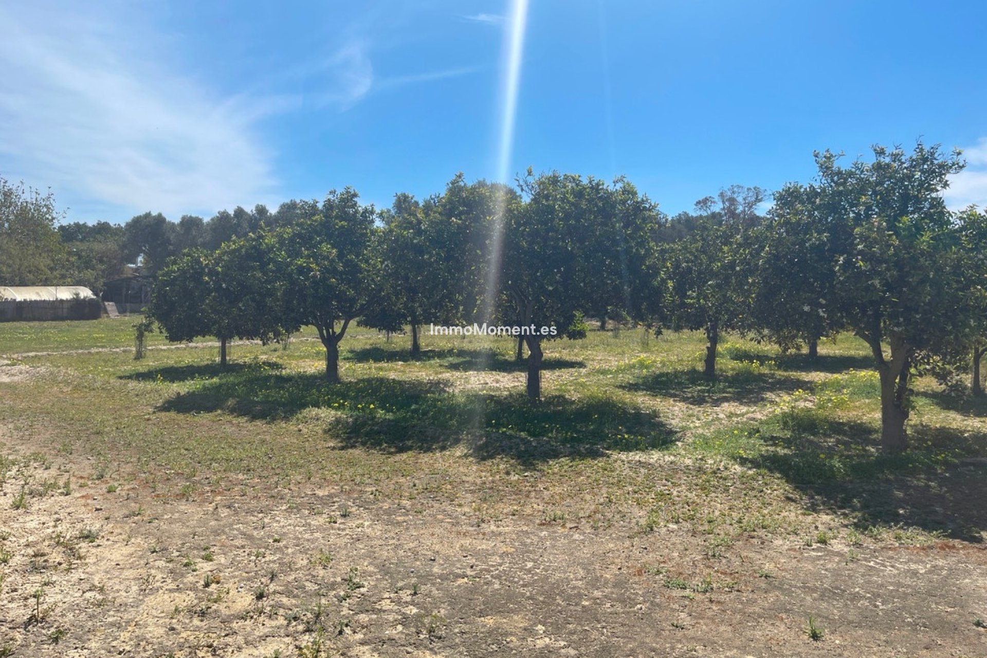 Reventa - Villa - Guardamar del Segura - Guardamar del Segura Centro