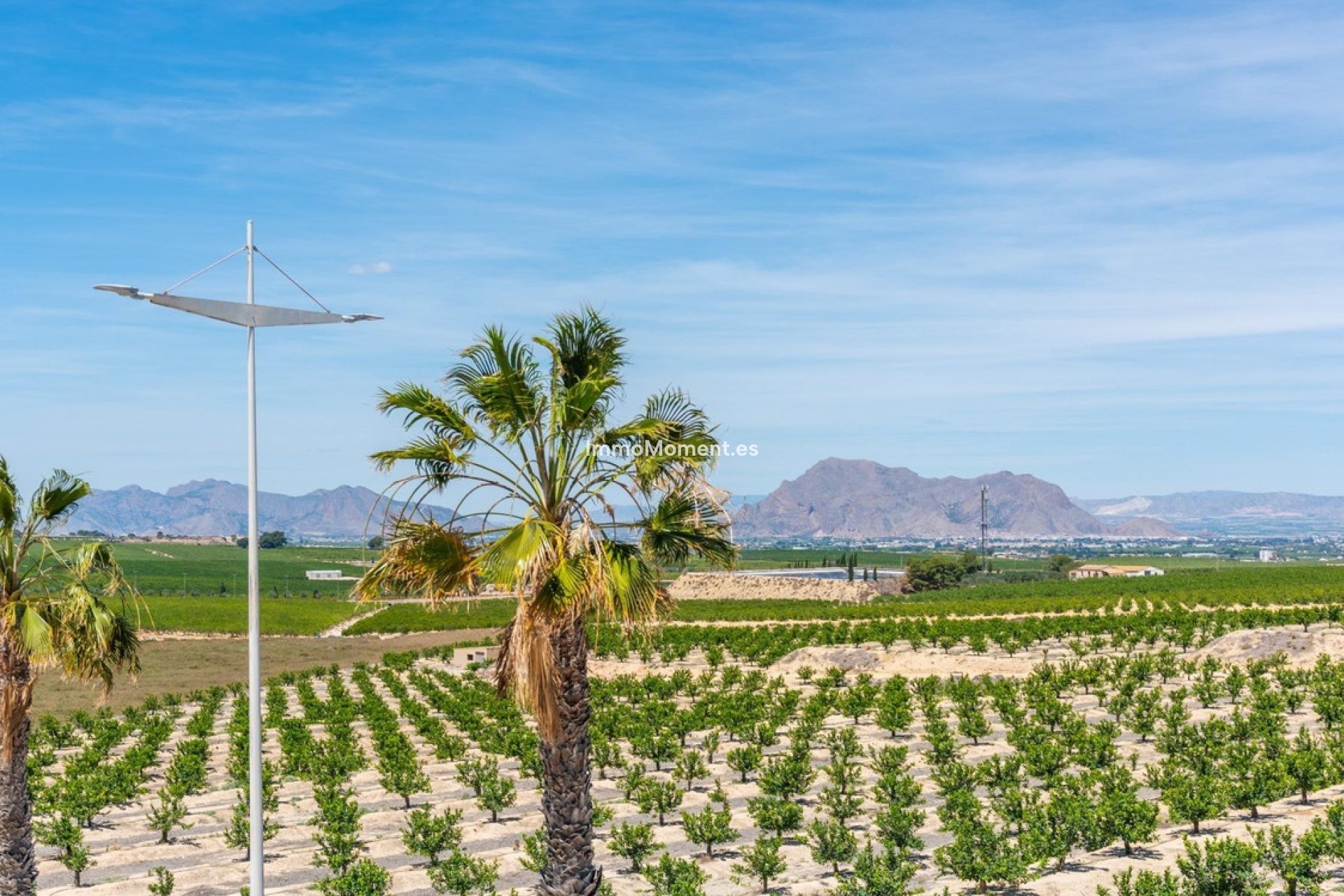 Reventa - Villa independiente - Algorfa - Algorfa Centro