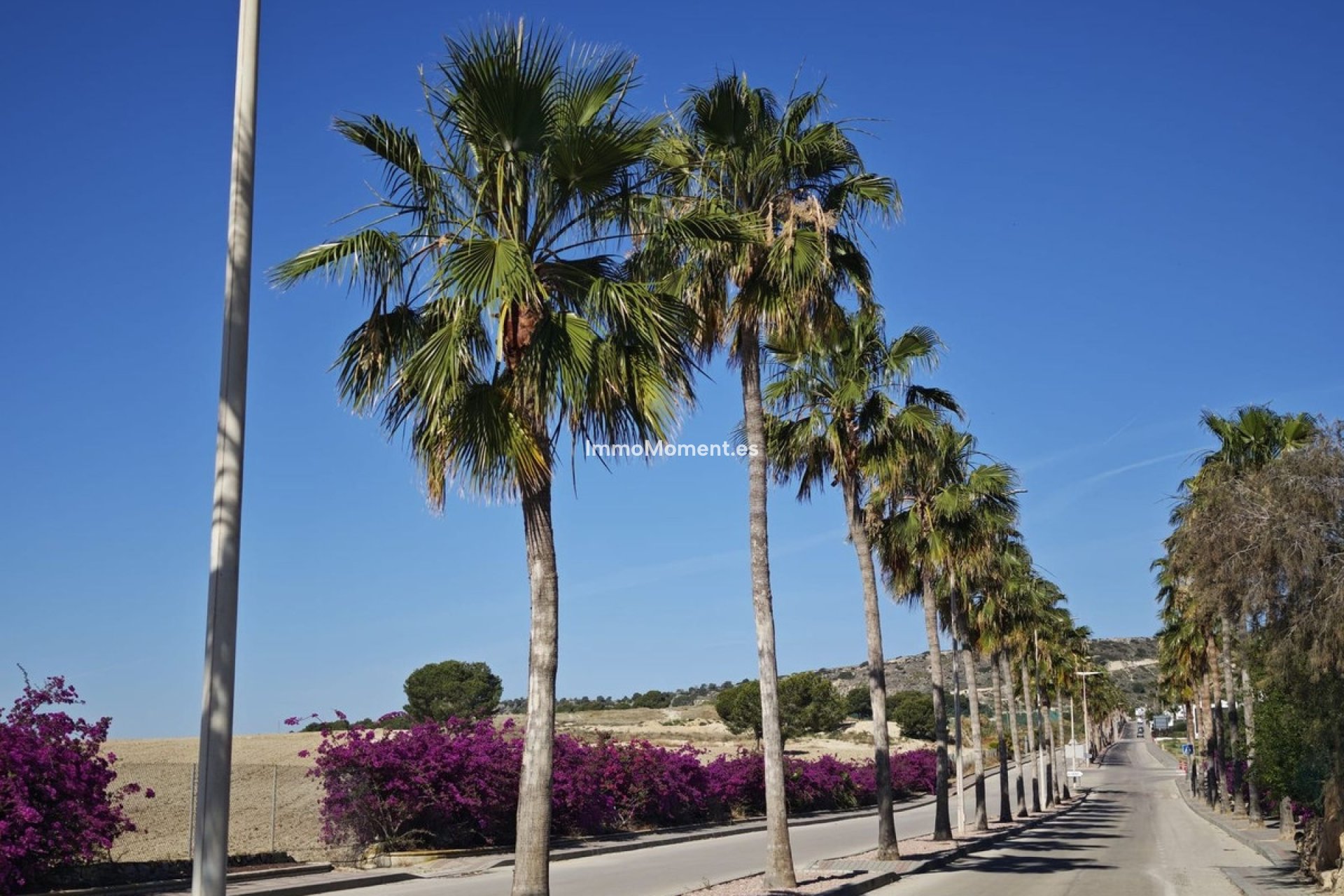 Reventa - Villa independiente - Algorfa - Algorfa Centro
