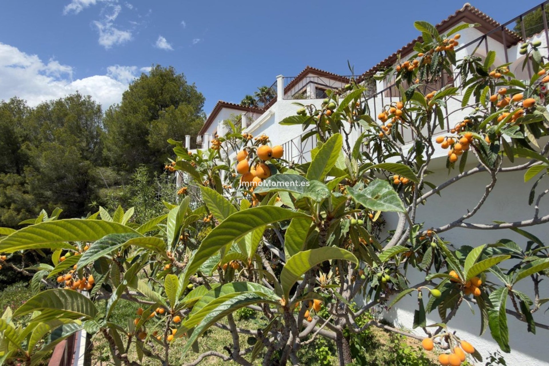 Reventa - Villa independiente - Altea - Altea Centro