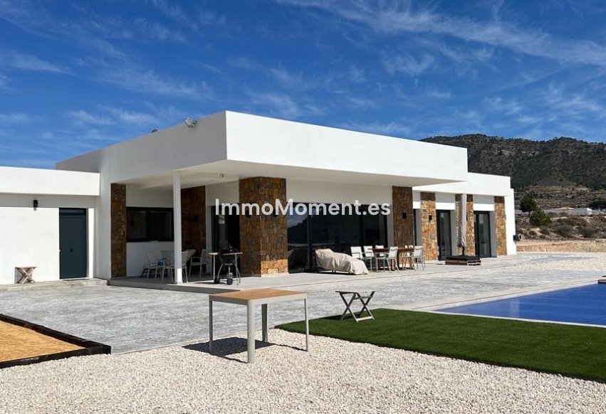 Reventa - Villa independiente - Aspe - Aspe Centro