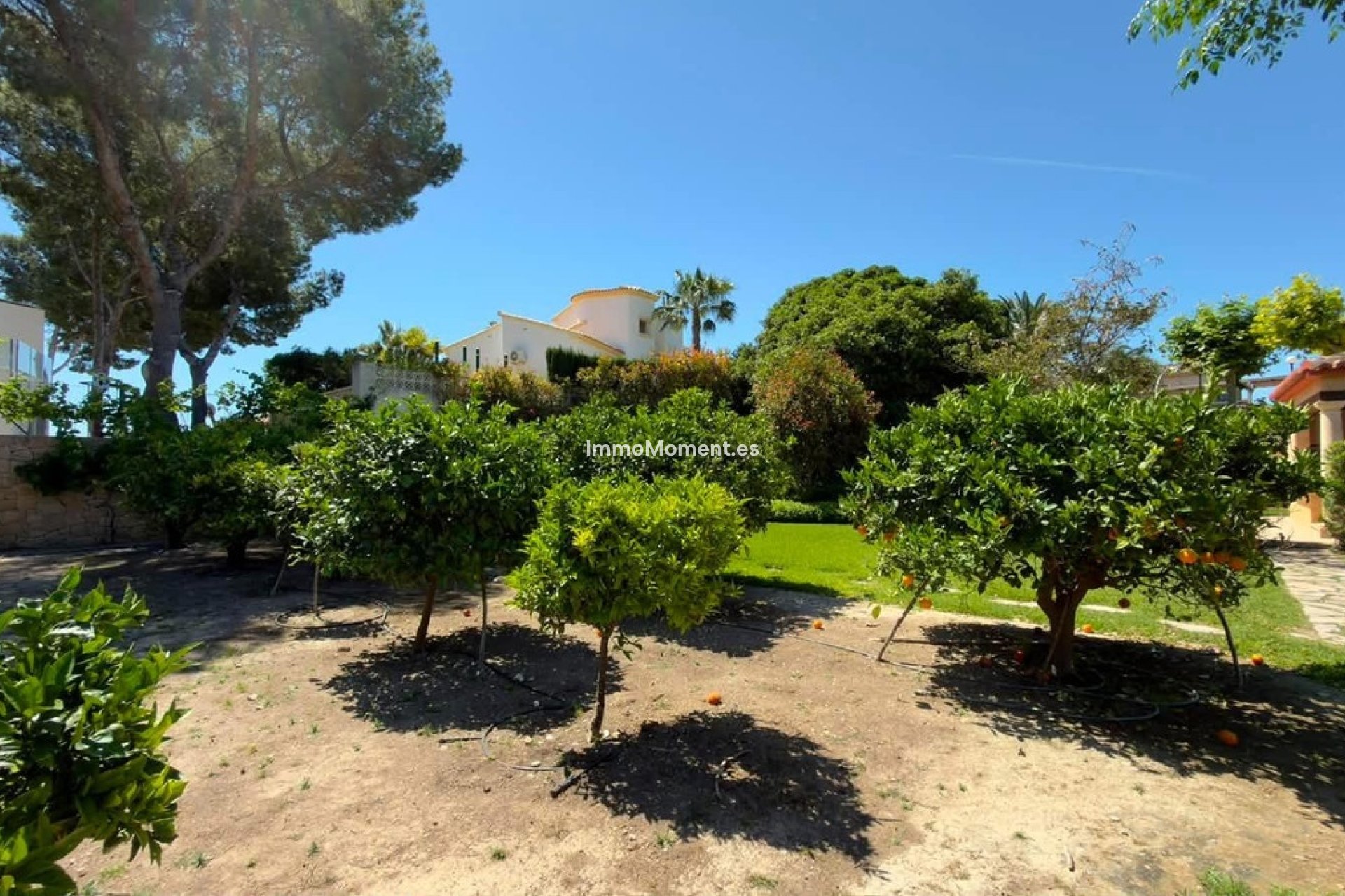 Reventa - Villa independiente - Calpe - Calpe Centro