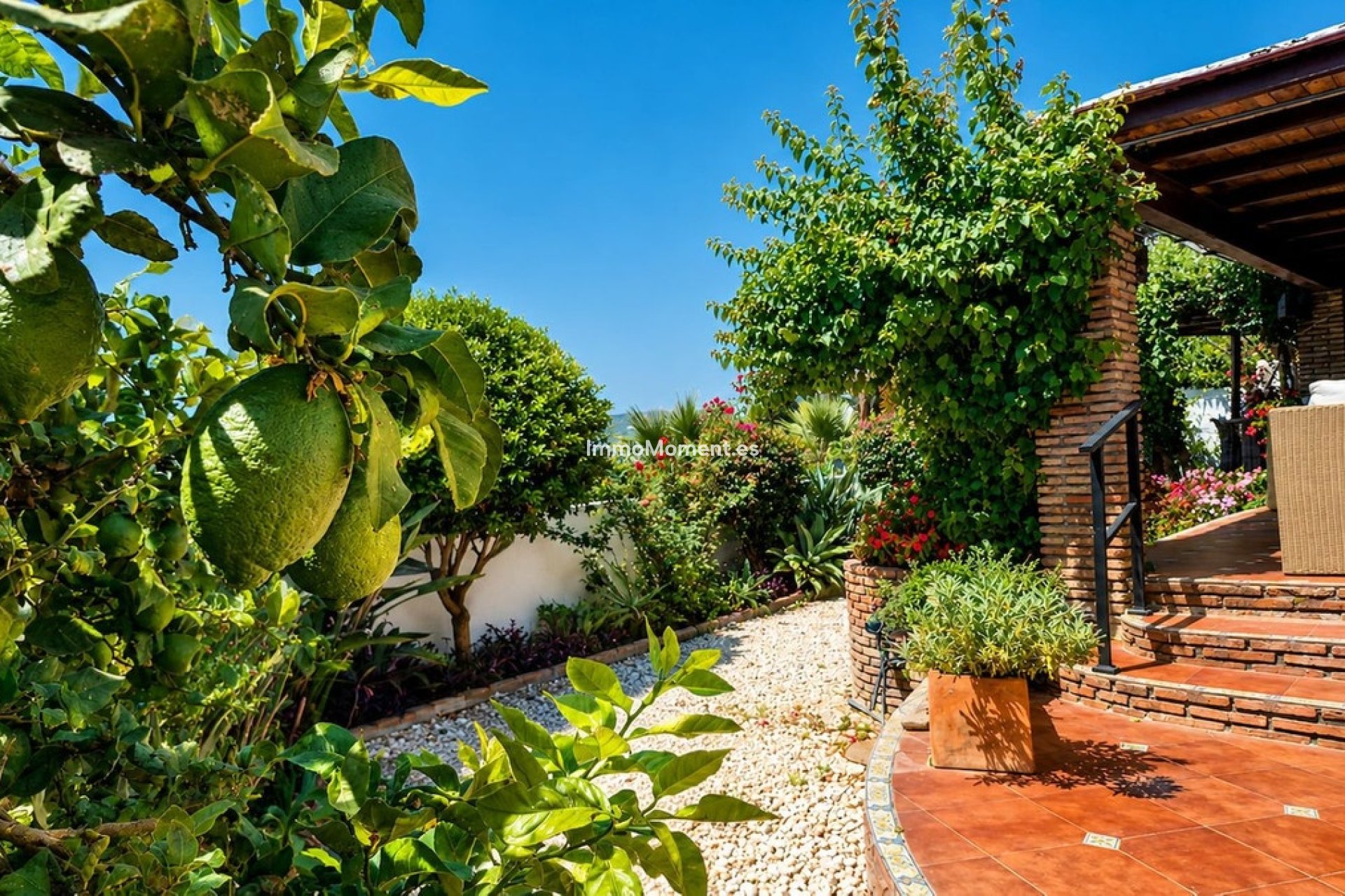 Reventa - Villa independiente - Casares - Casares Playa
